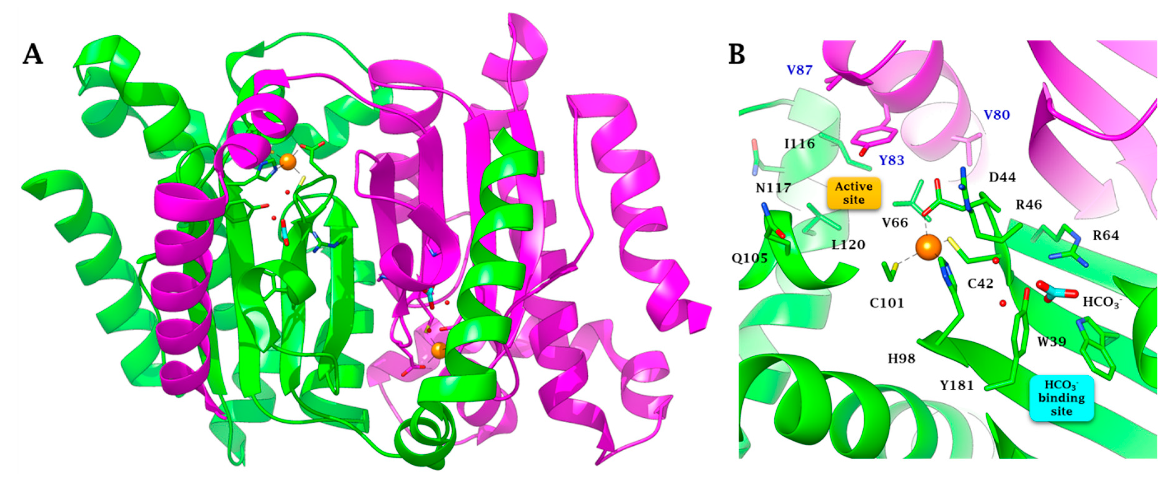 Molecules 25 02564 g003 Molecules 25 02564 g003