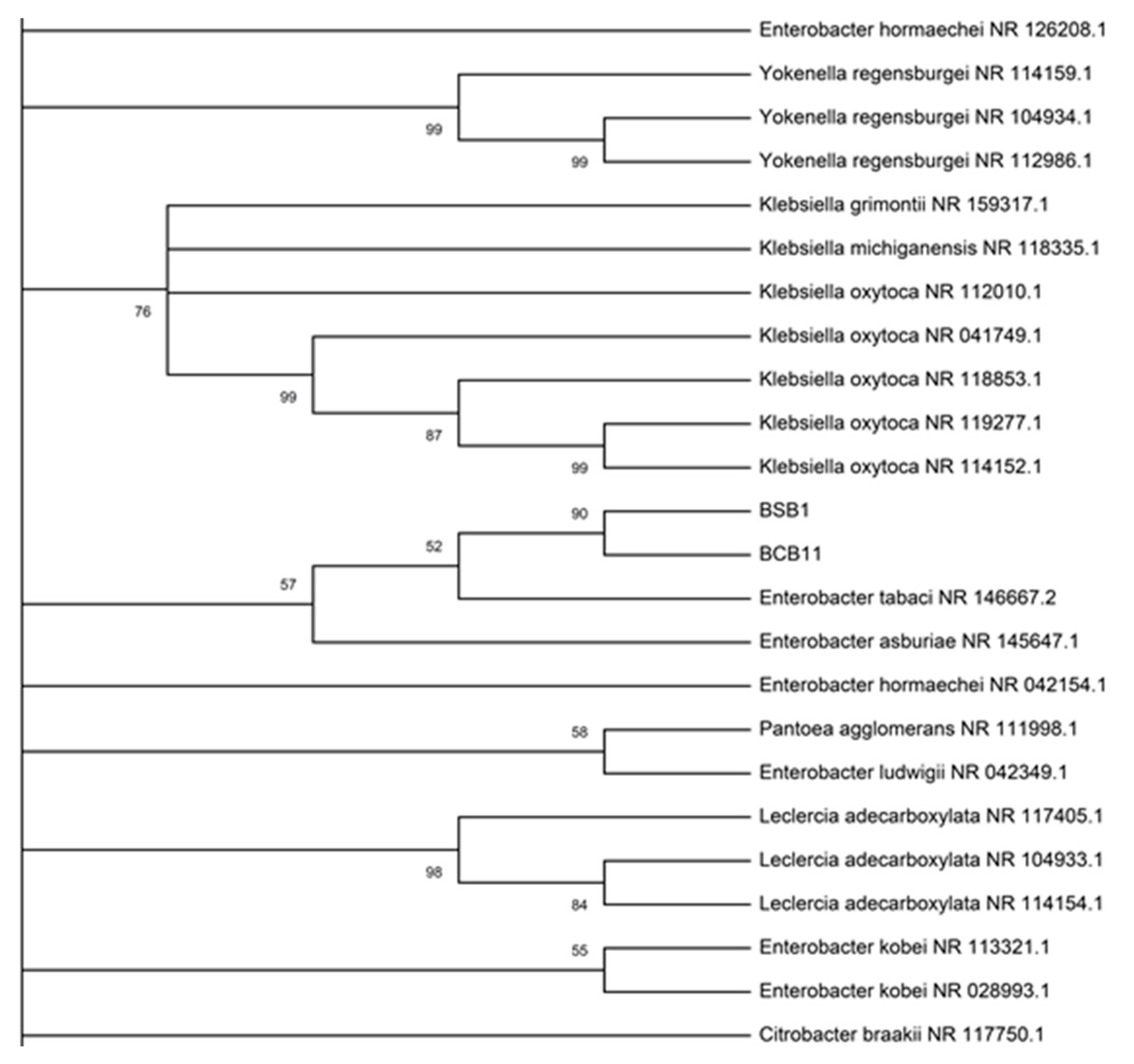 Molecules 25 02567 g002 Molecules 25 02567 g002