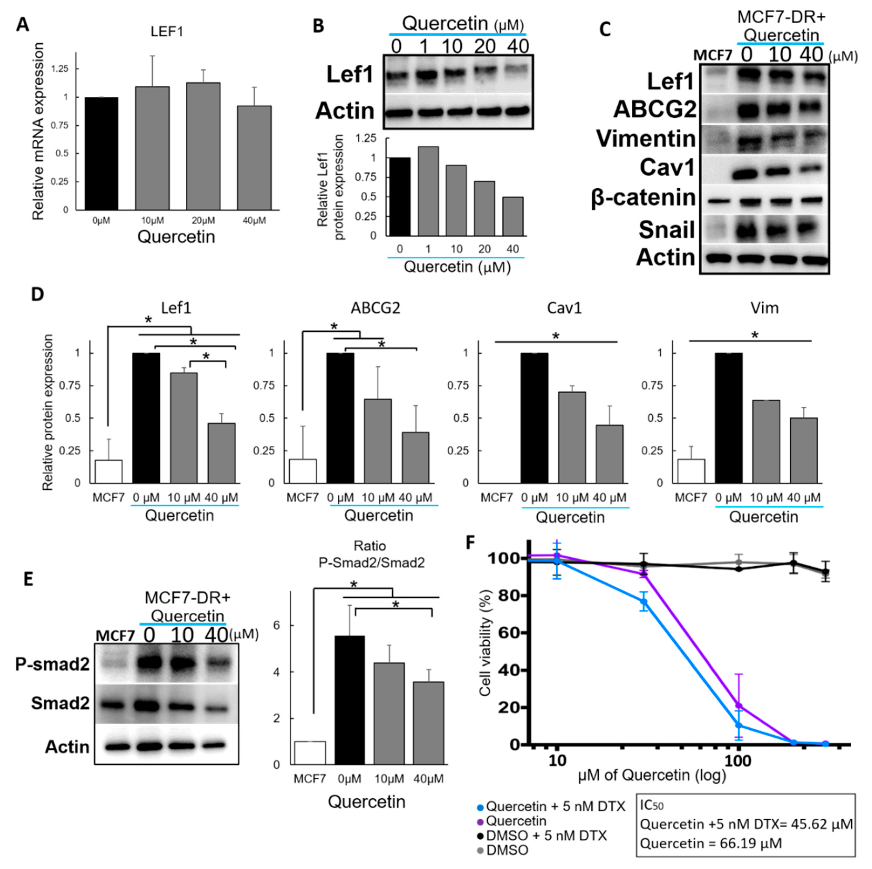 Molecules 25 02576 g003 Molecules 25 02576 g003
