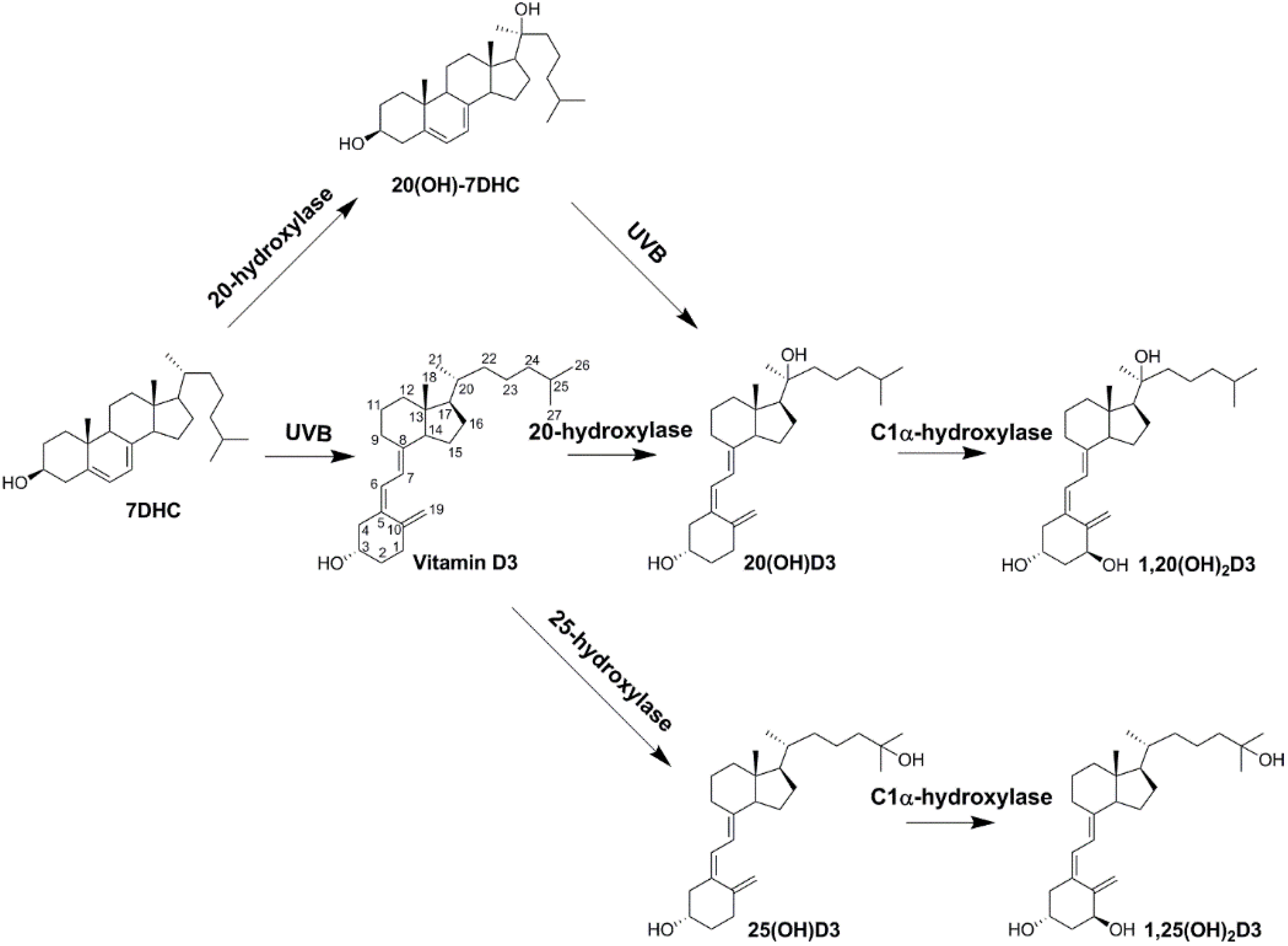 Molecules 25 02583 sch001
