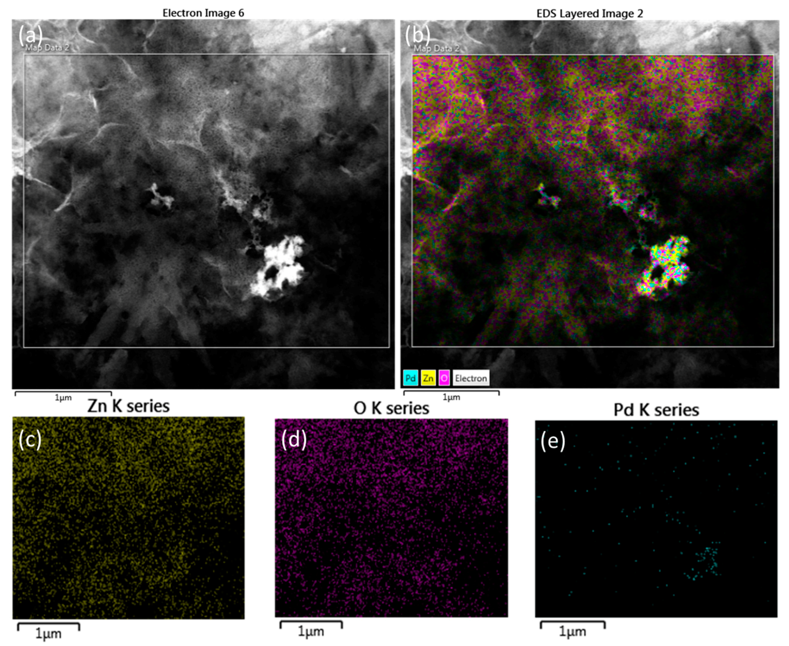Molecules 25 02585 g004 Molecules 25 02585 g004