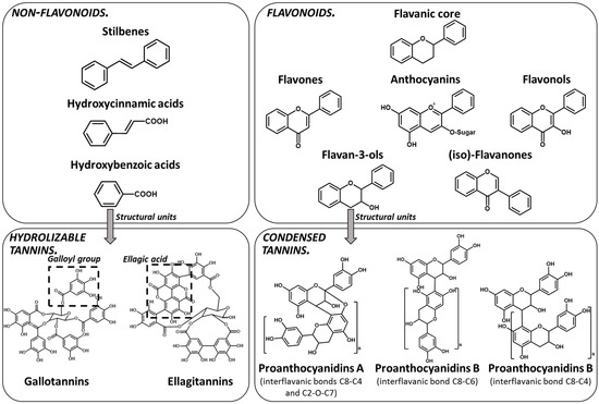Molecules Free Full Text Tannins In Food Insights Into The Molecular Perception Of Astringency And Bitter Taste Html