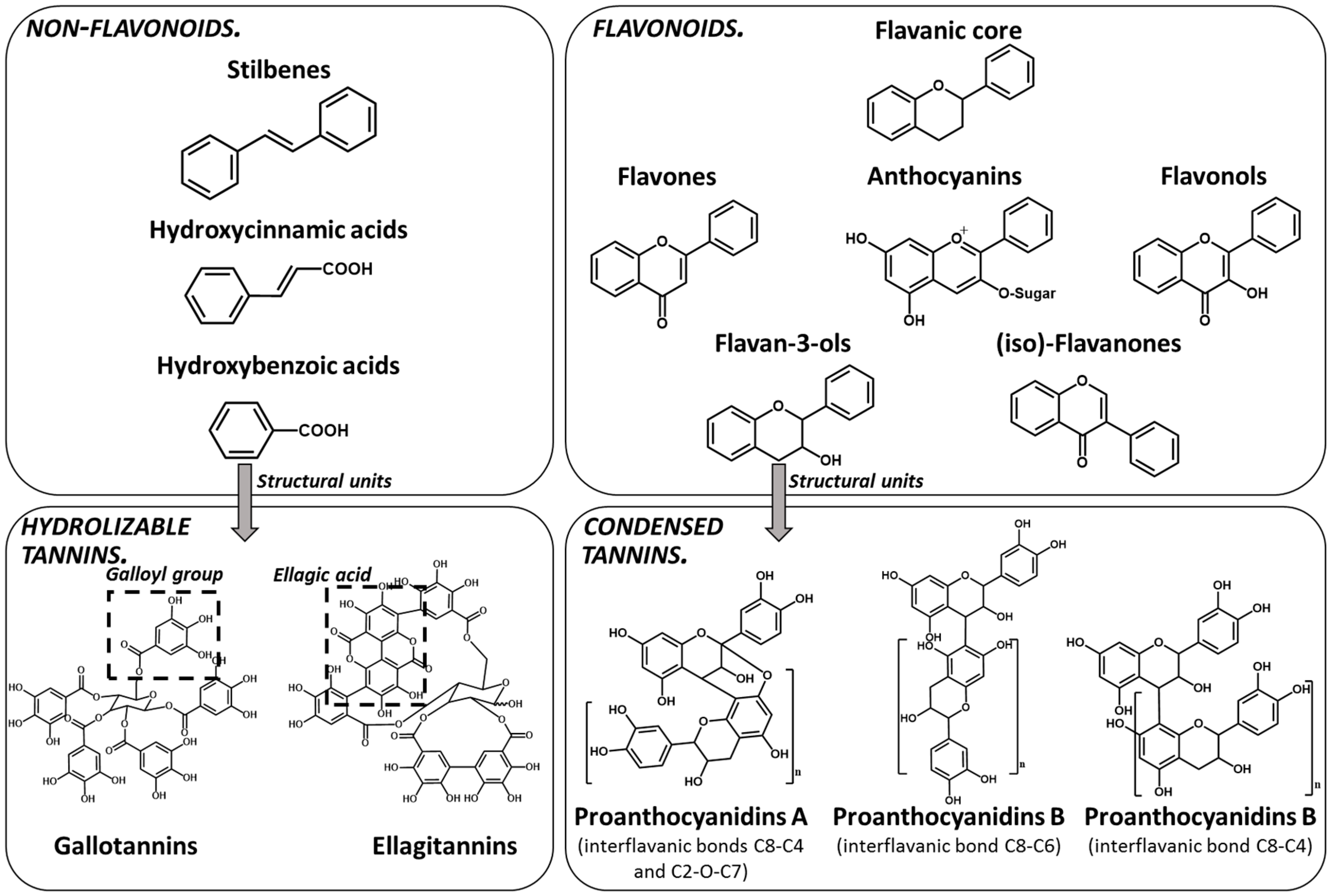 Molecules 25 02590 g001 Molecules 25 02590 g001