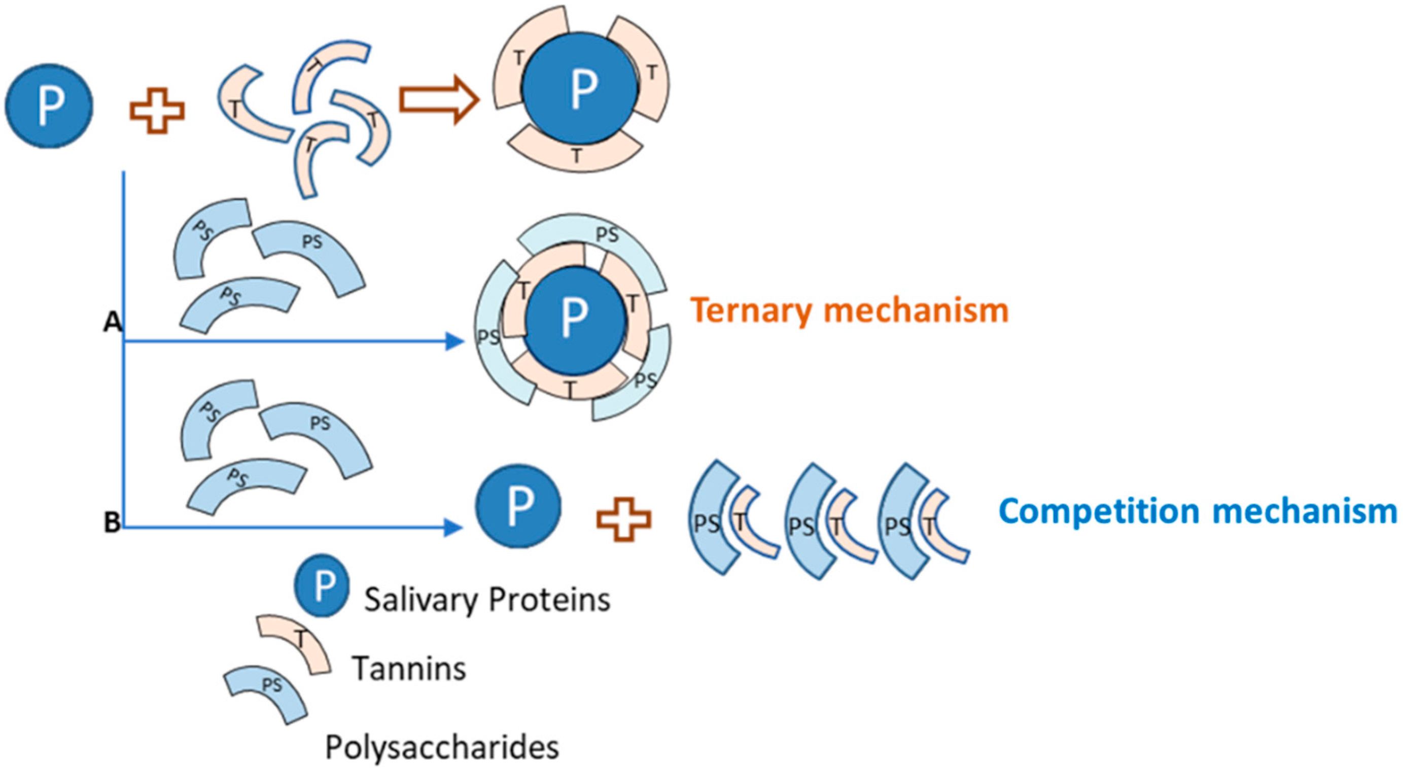Molecules 25 02590 g003 Molecules 25 02590 g003