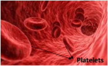 Molecules 25 02592 i003
