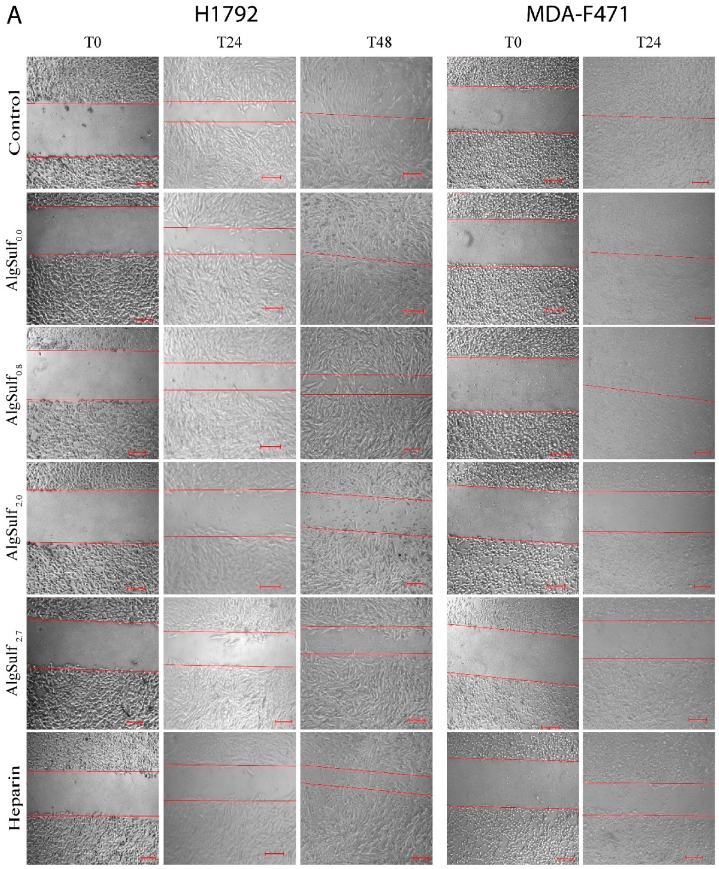 Molecules 25 02595 g003a Molecules 25 02595 g003a