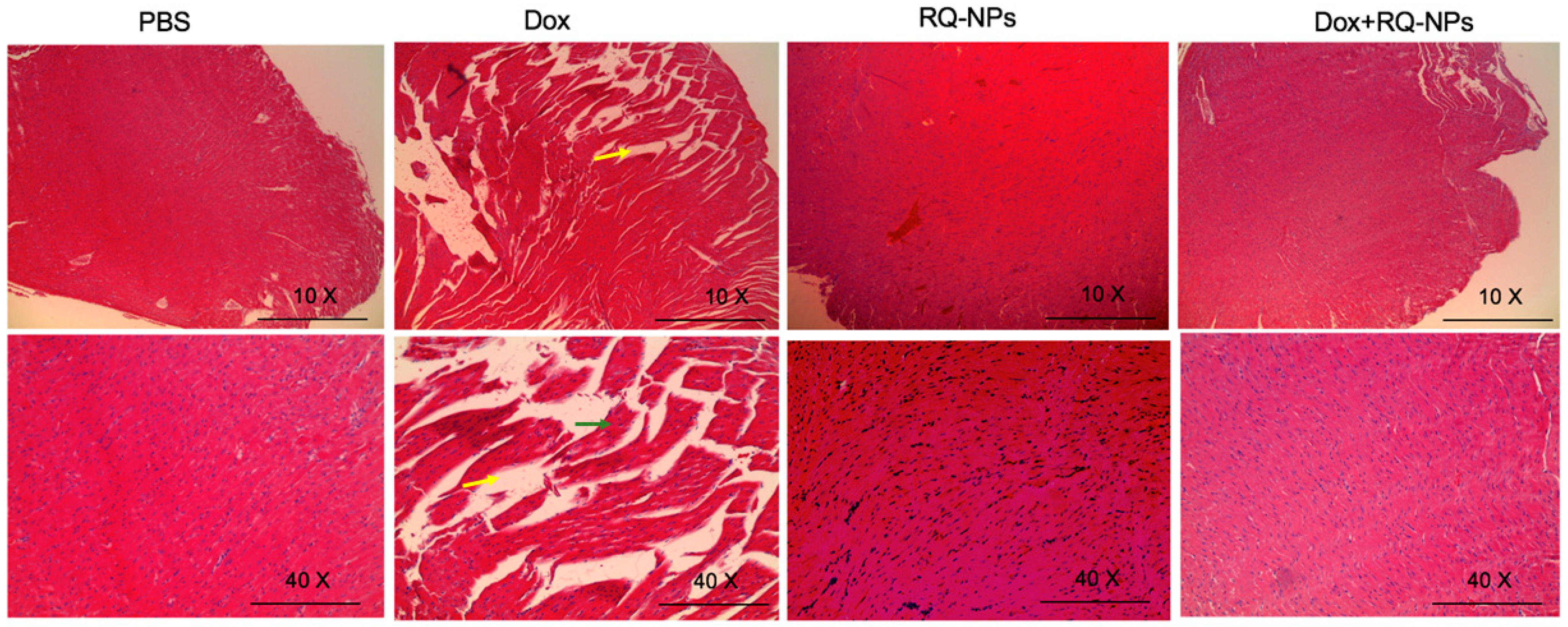 Molecules 25 02597 g006 Molecules 25 02597 g006