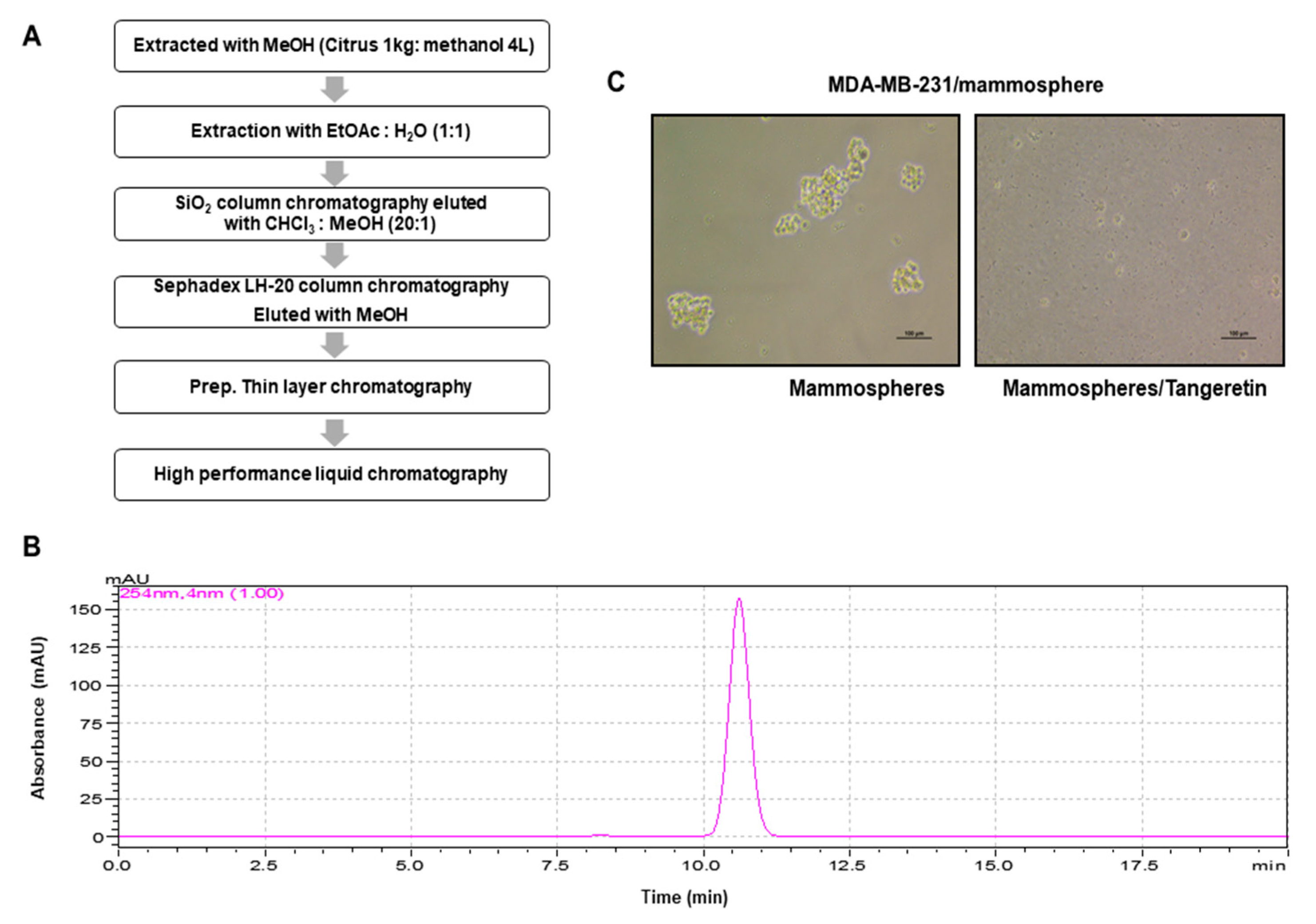 Molecules 25 02599 g001