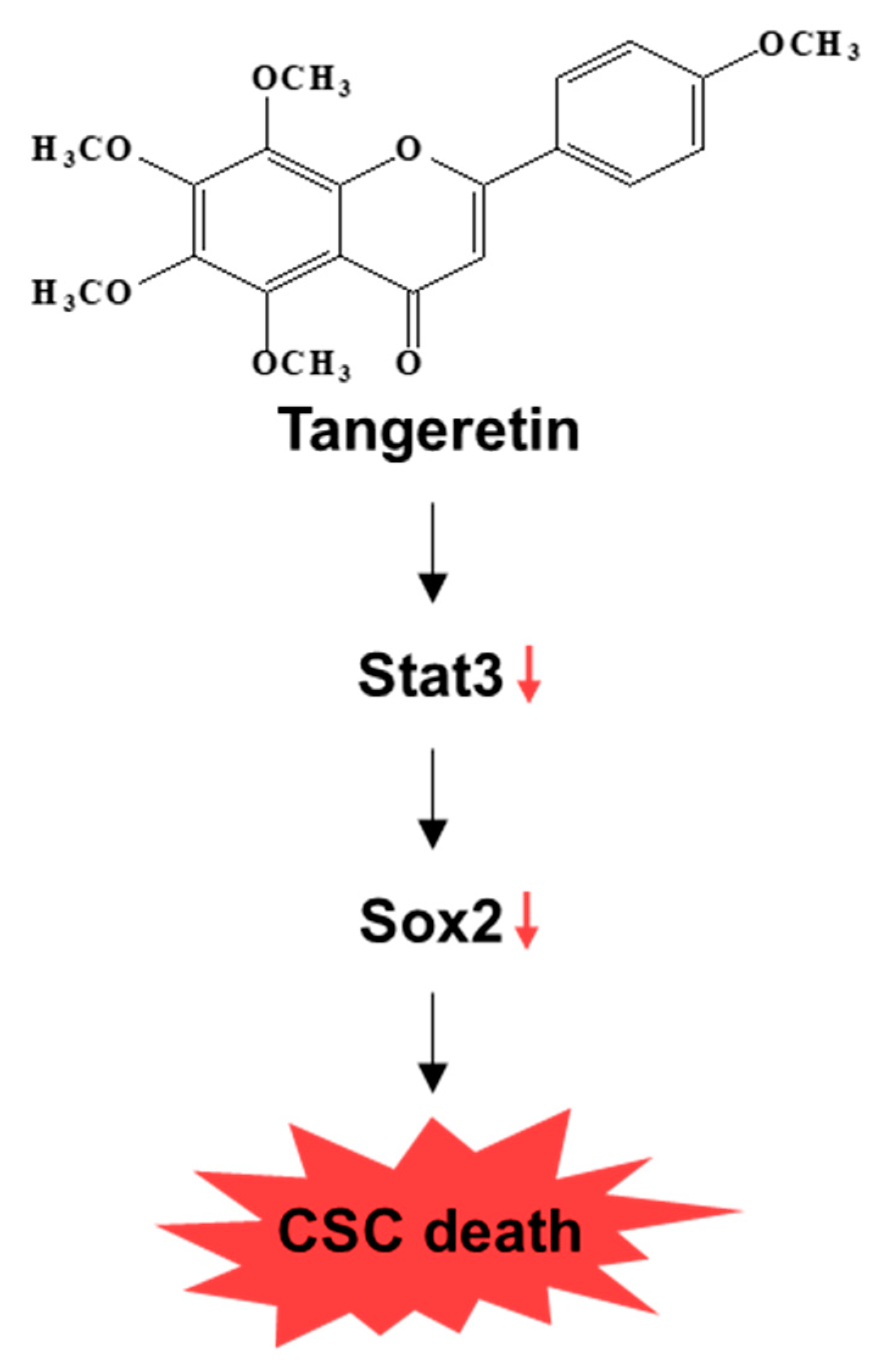 Molecules 25 02599 g008