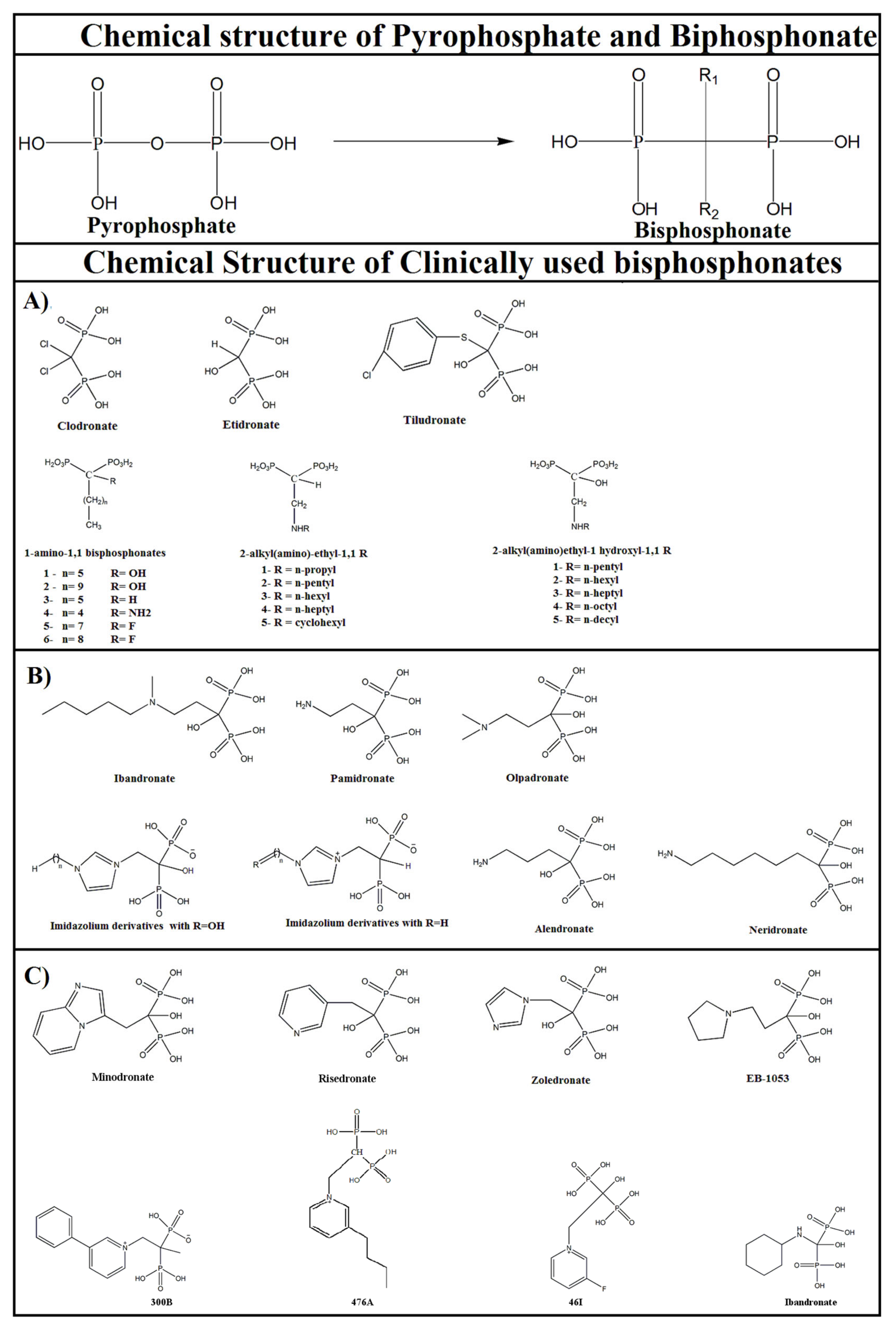 Molecules 25 02602 g003