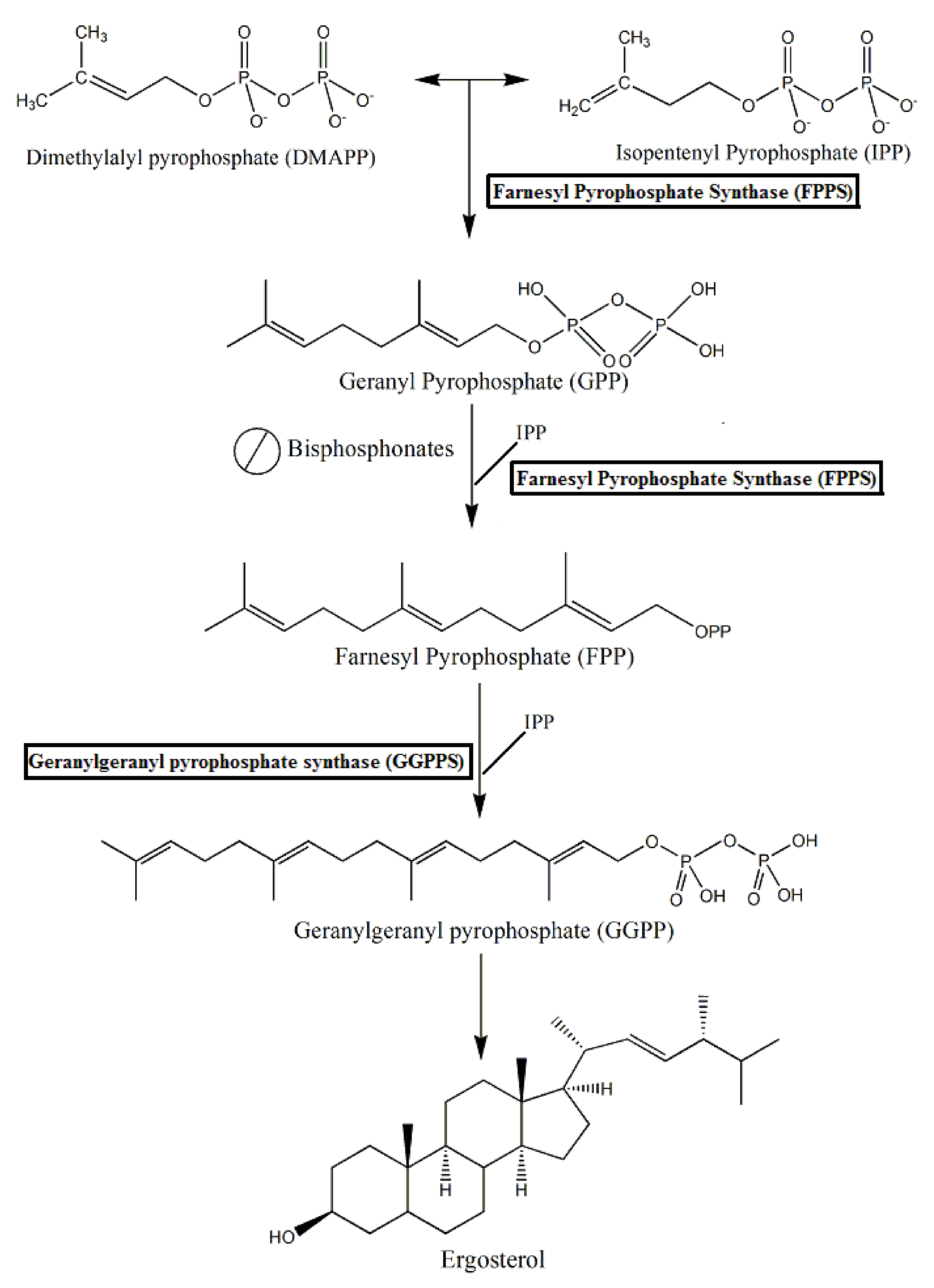 Molecules 25 02602 g004