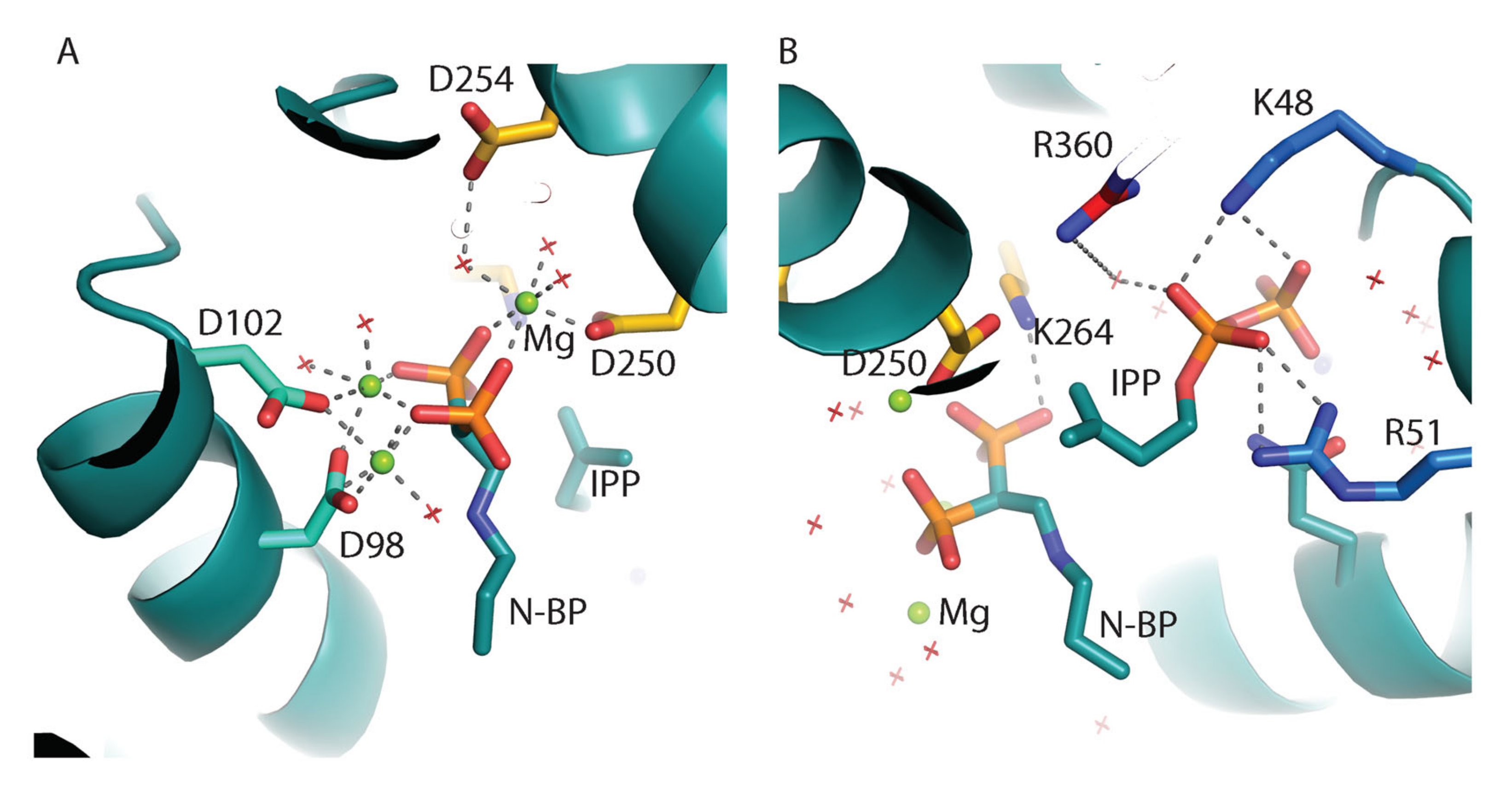 Molecules 25 02602 g005