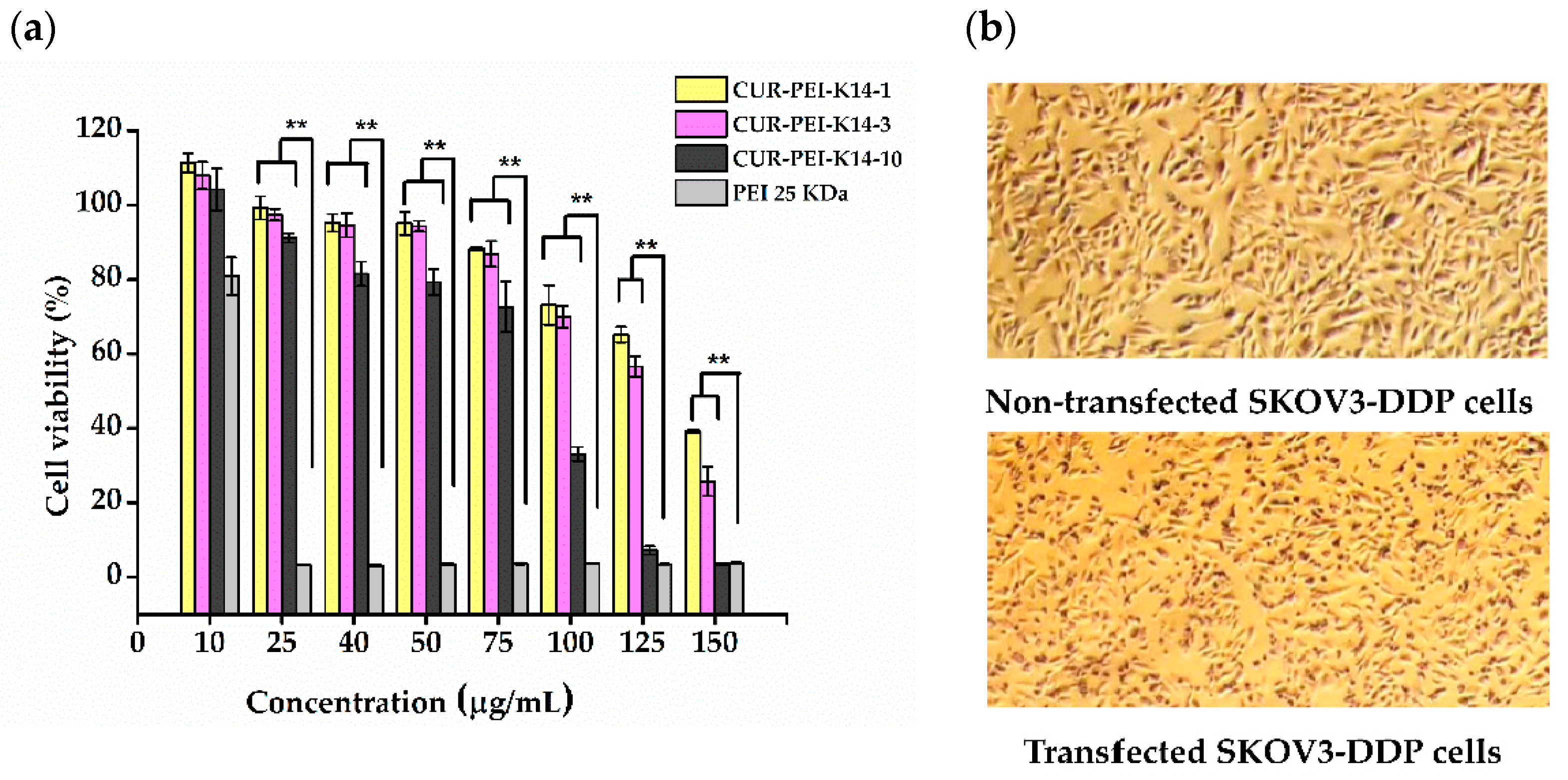 Molecules 25 02621 g007 Molecules 25 02621 g007