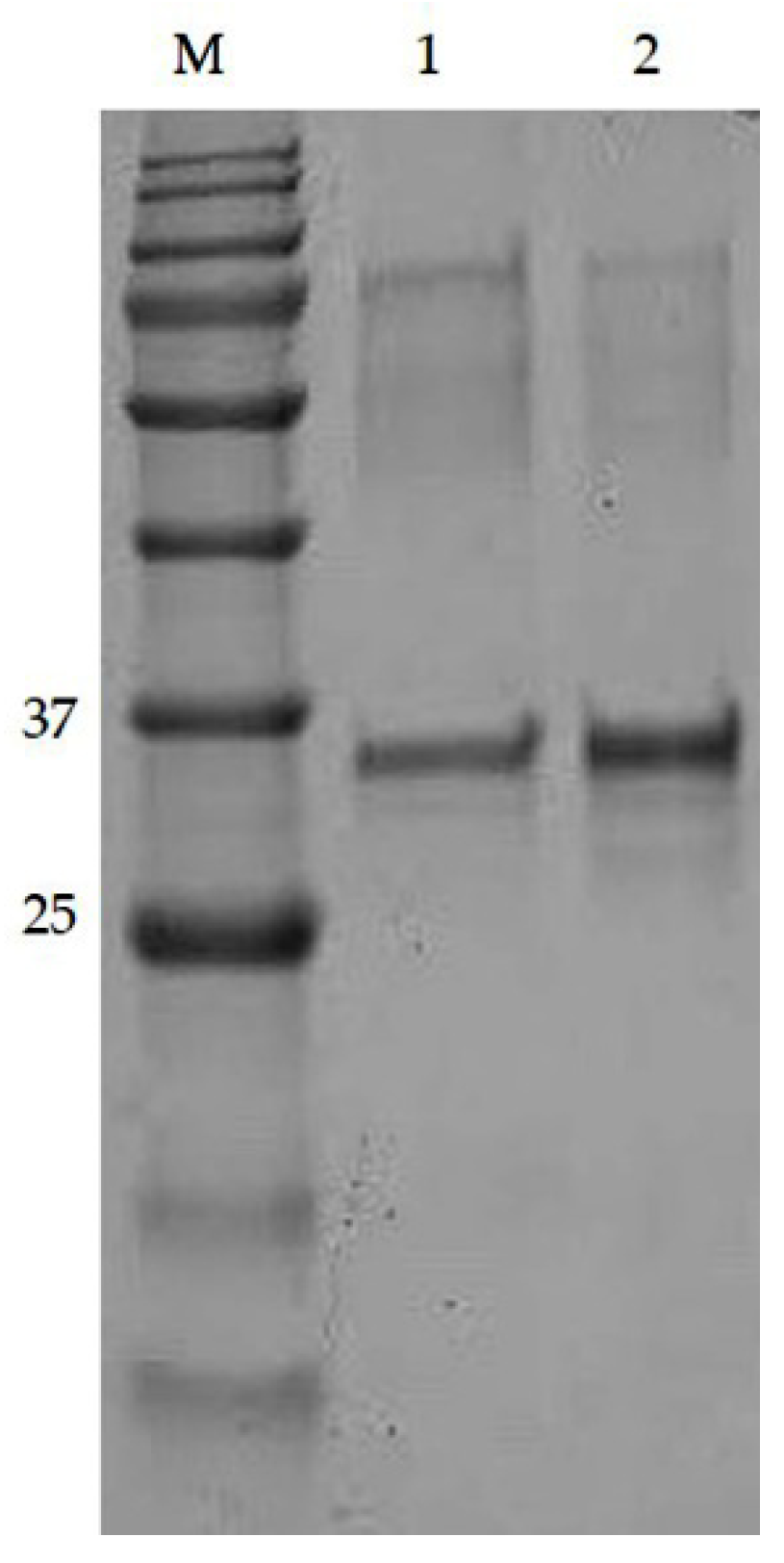 Molecules 25 02622 g007 Molecules 25 02622 g007
