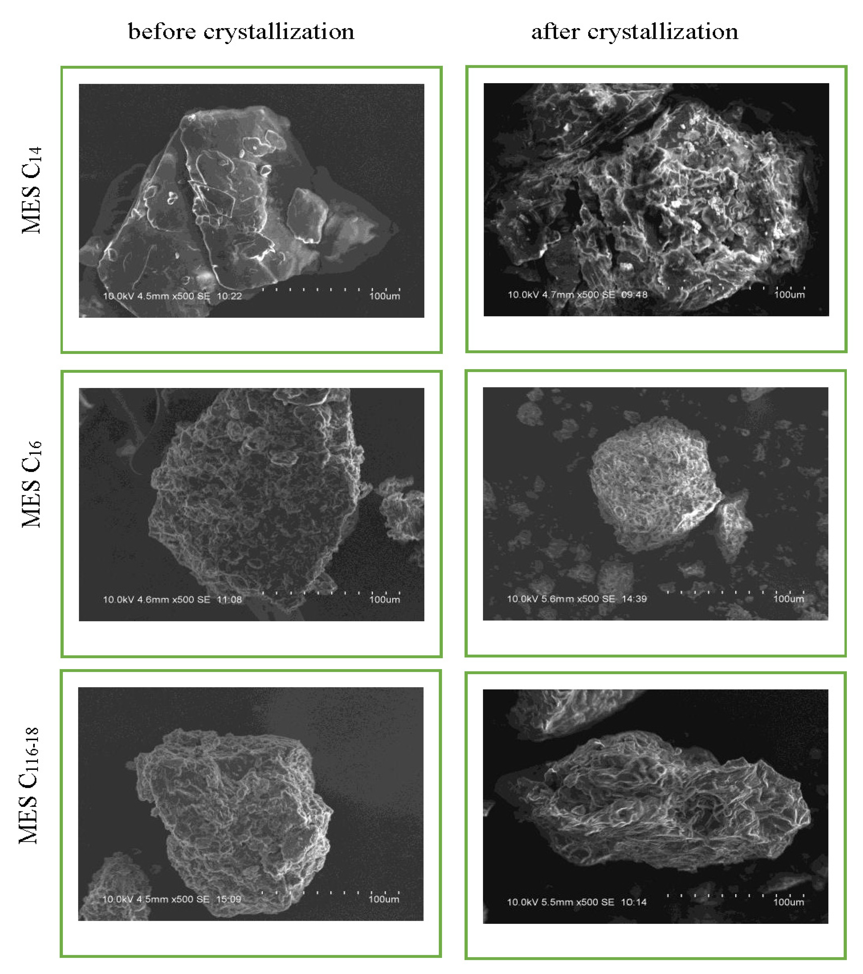 Molecules 25 02629 g006 Molecules 25 02629 g006