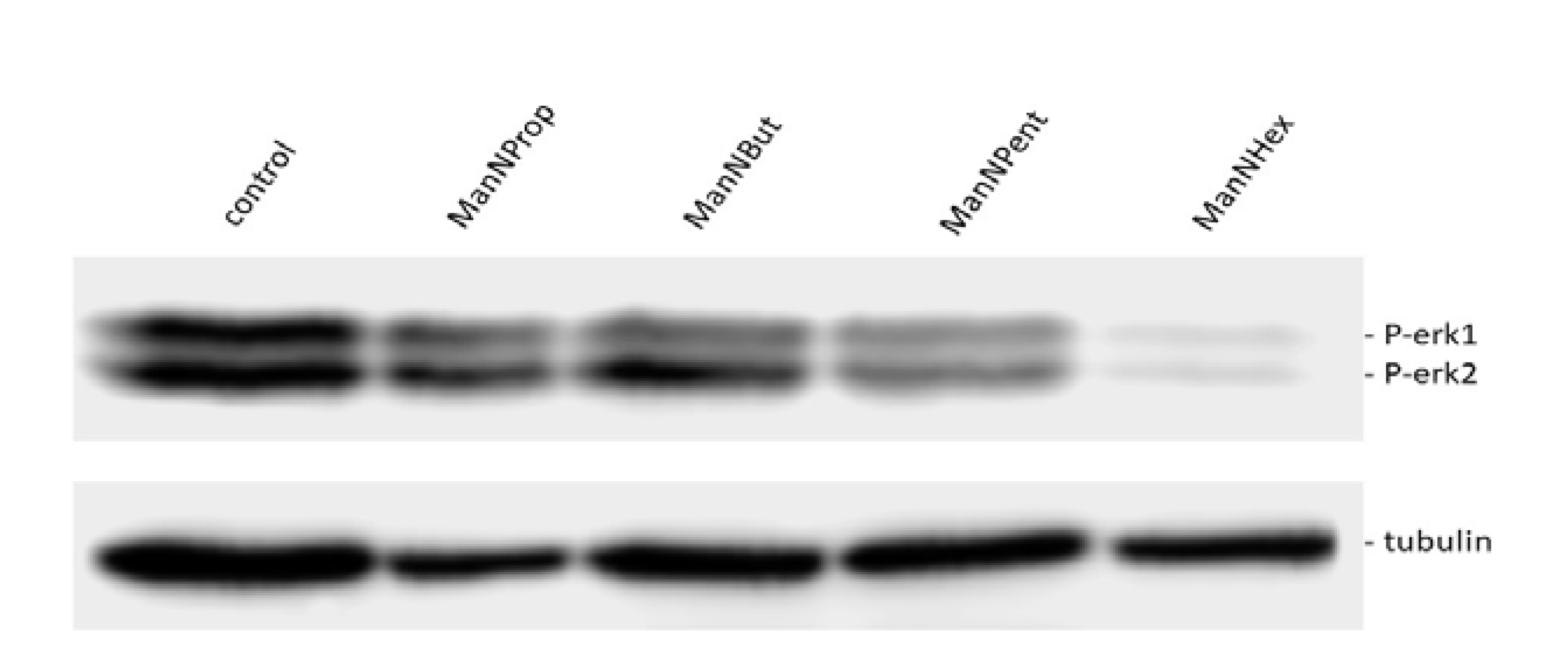 Molecules 25 02632 g007 Molecules 25 02632 g007