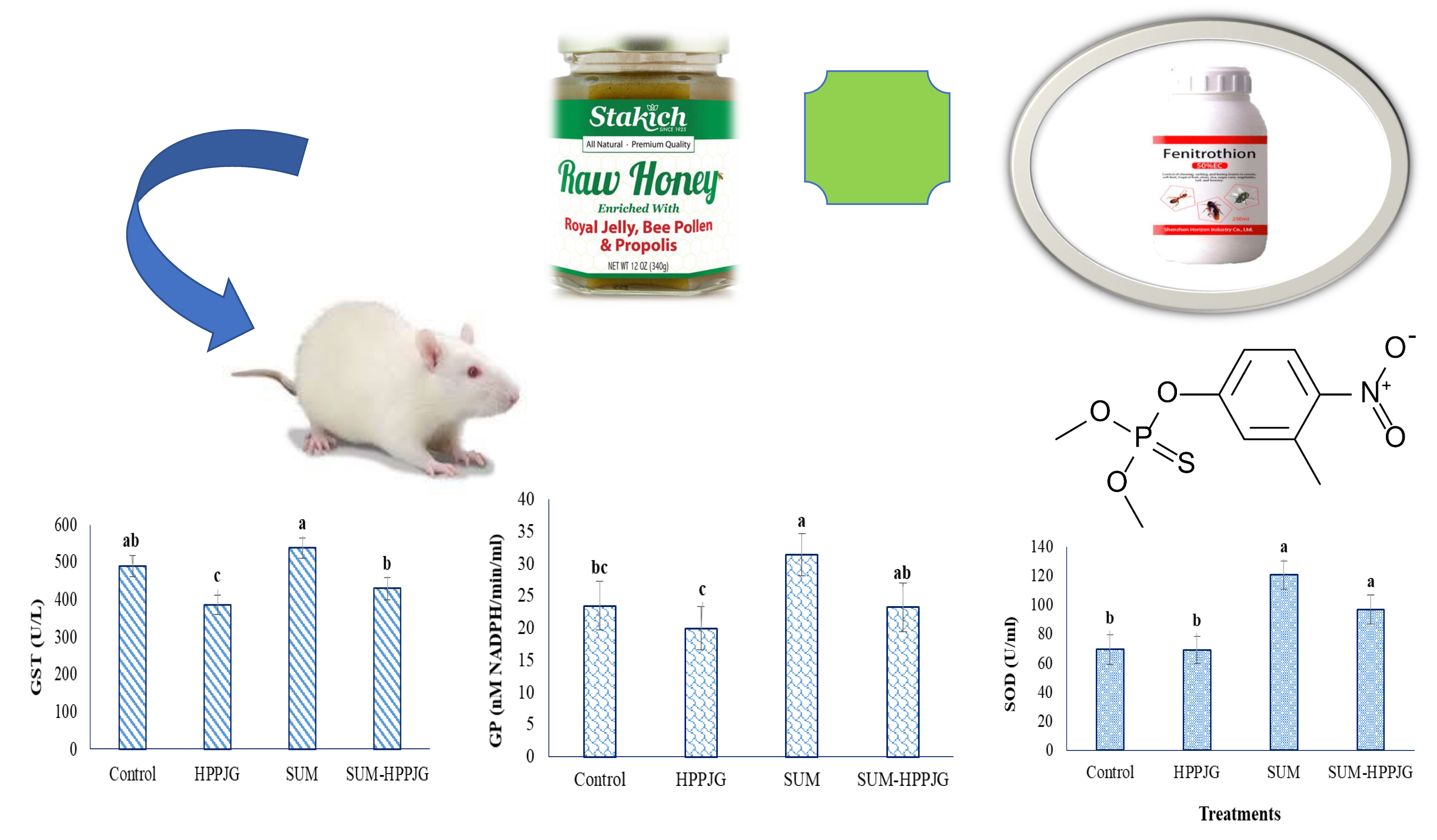 Molecules Free Full Text Ameliorative Effects Of Honey Propolis Pollen And Royal Jelly Mixture Against Chronic Toxicity Of Sumithion Insecticide In White Albino Rats Html