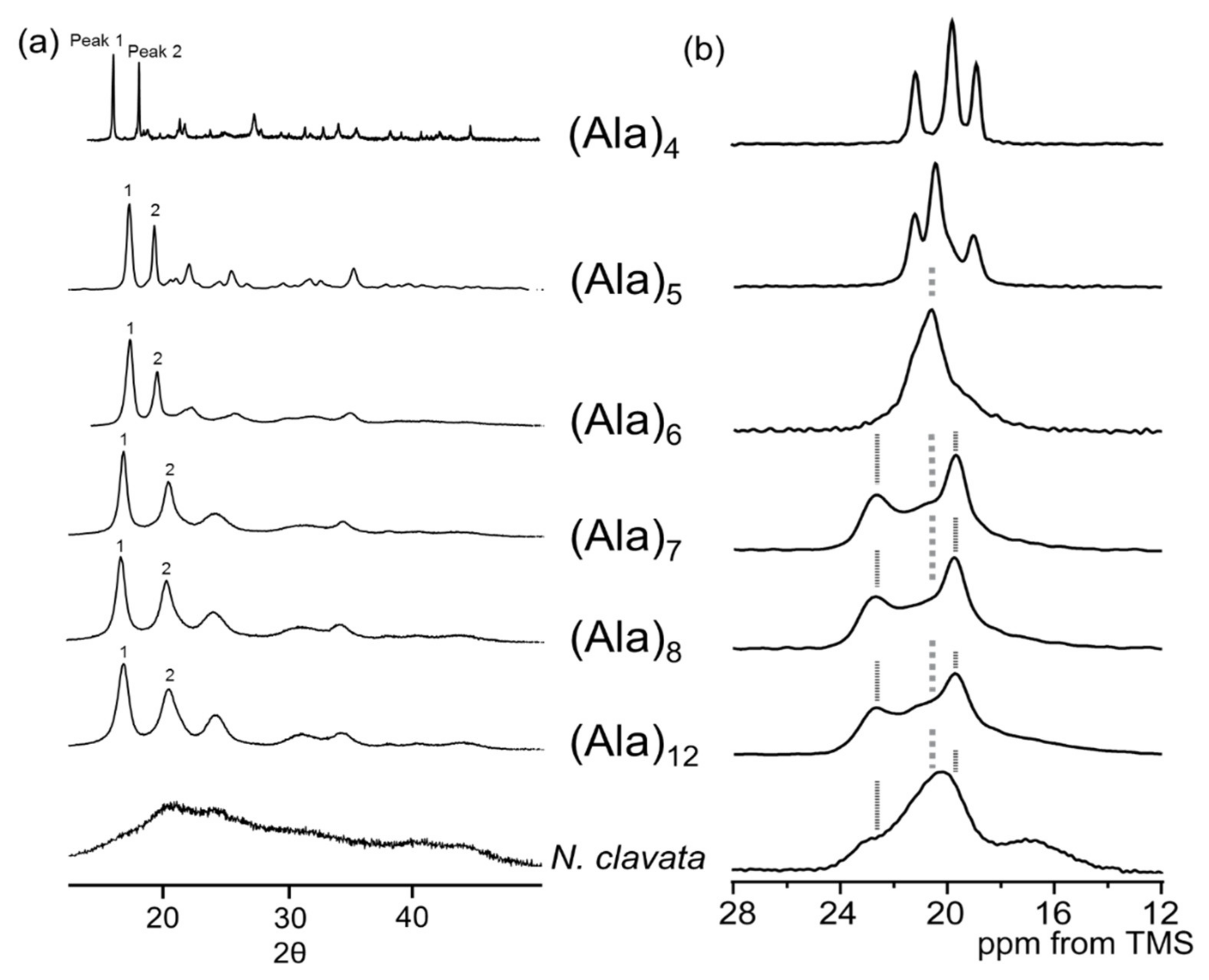 Molecules 25 02634 g007