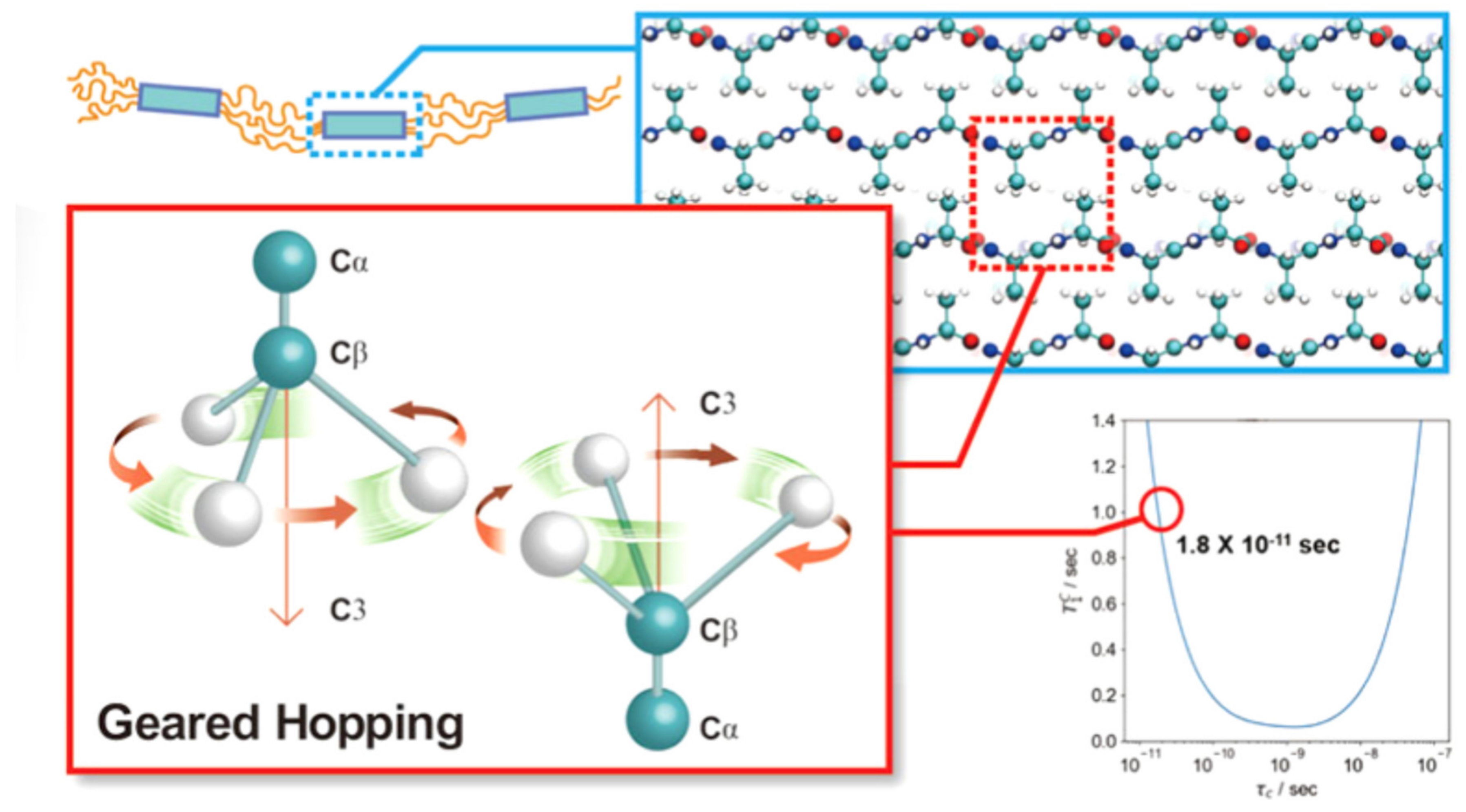 Molecules 25 02634 g016