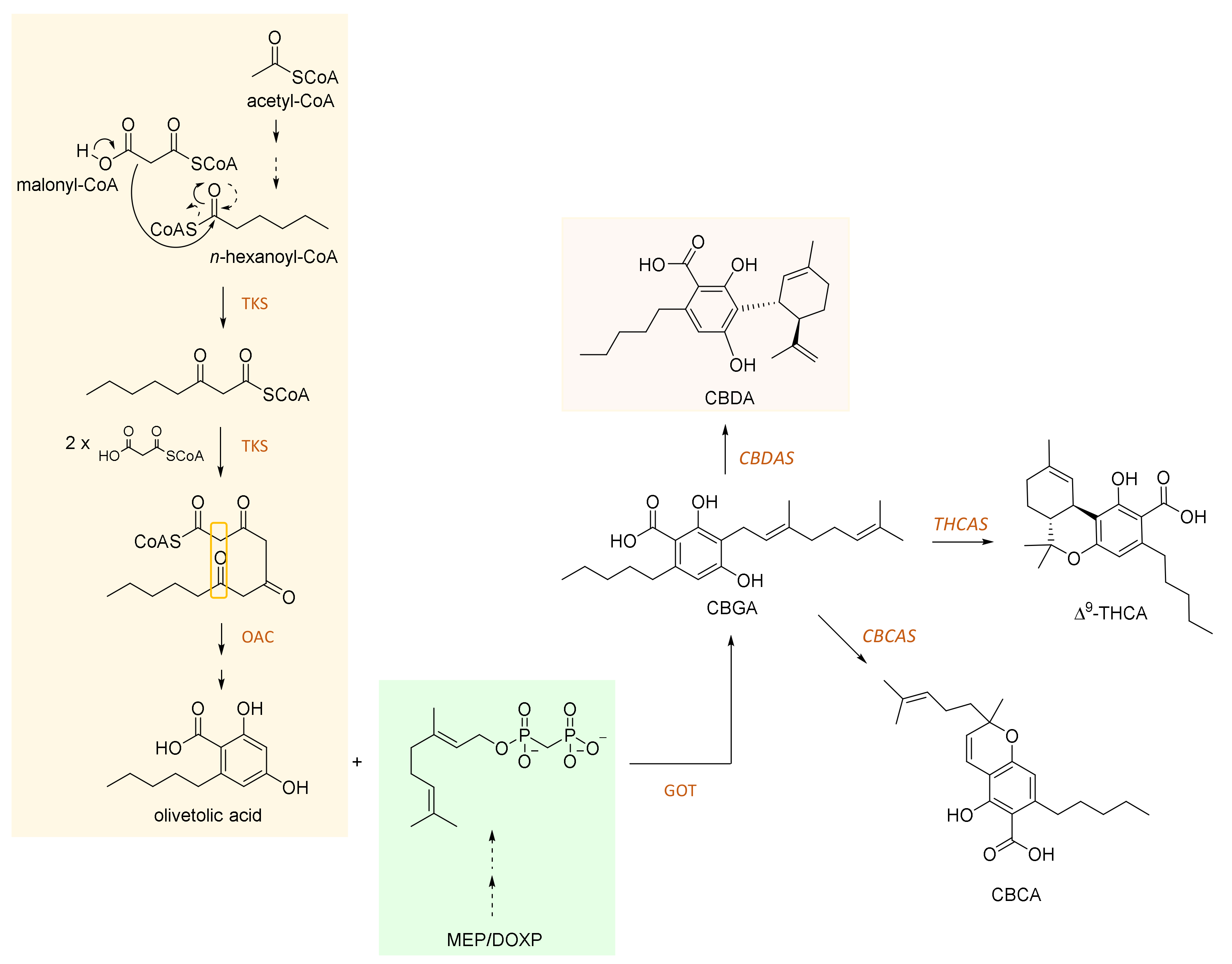 Molecules 25 02638 g001