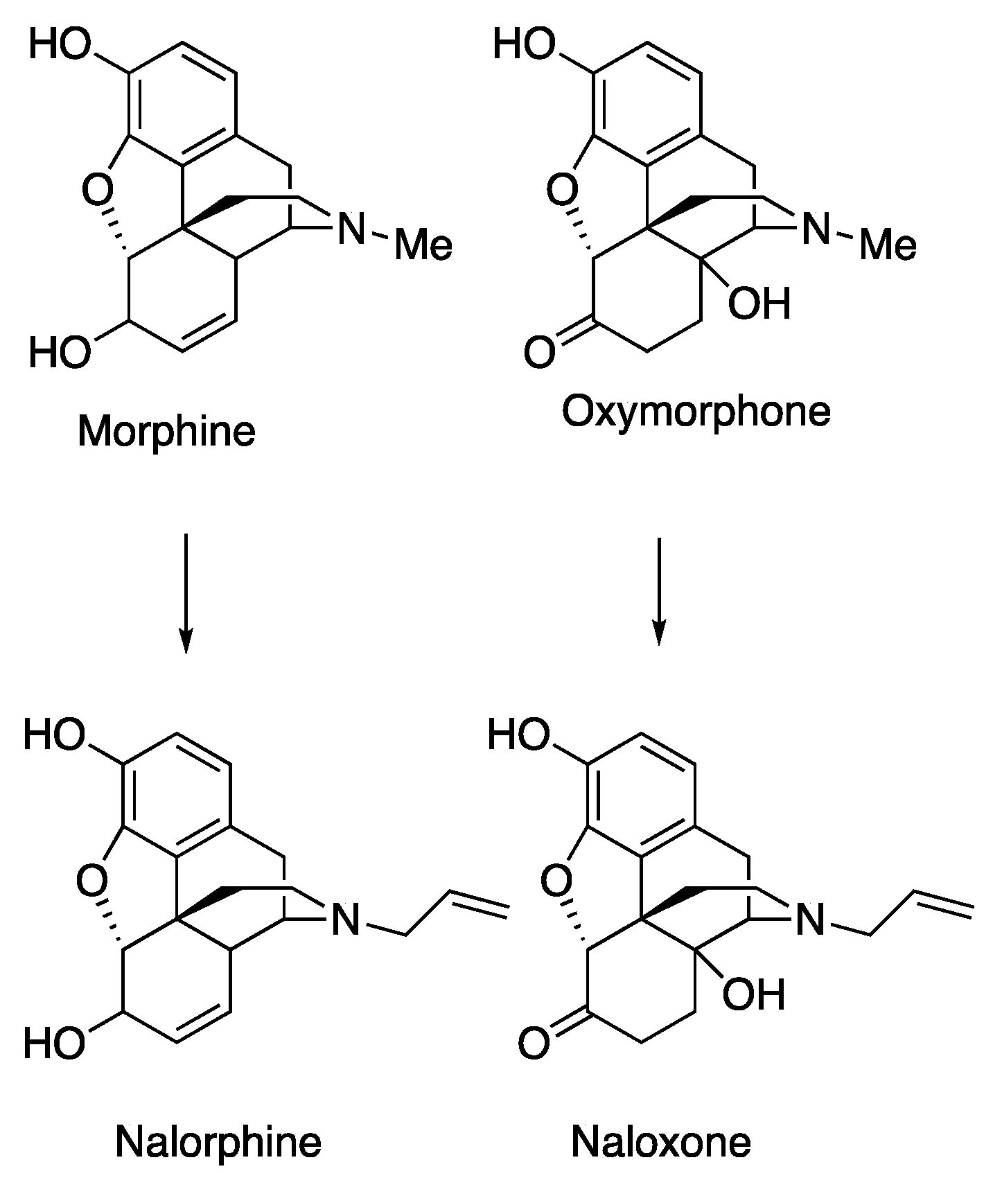 Molecules 25 02640 sch001