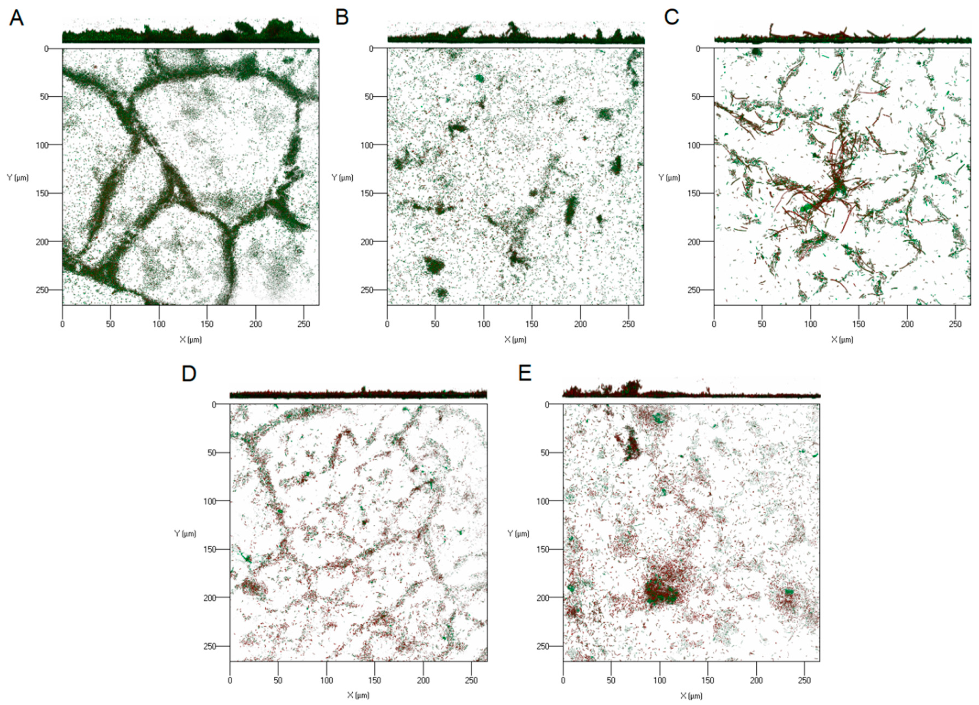 Molecules 25 02641 g005 Molecules 25 02641 g005