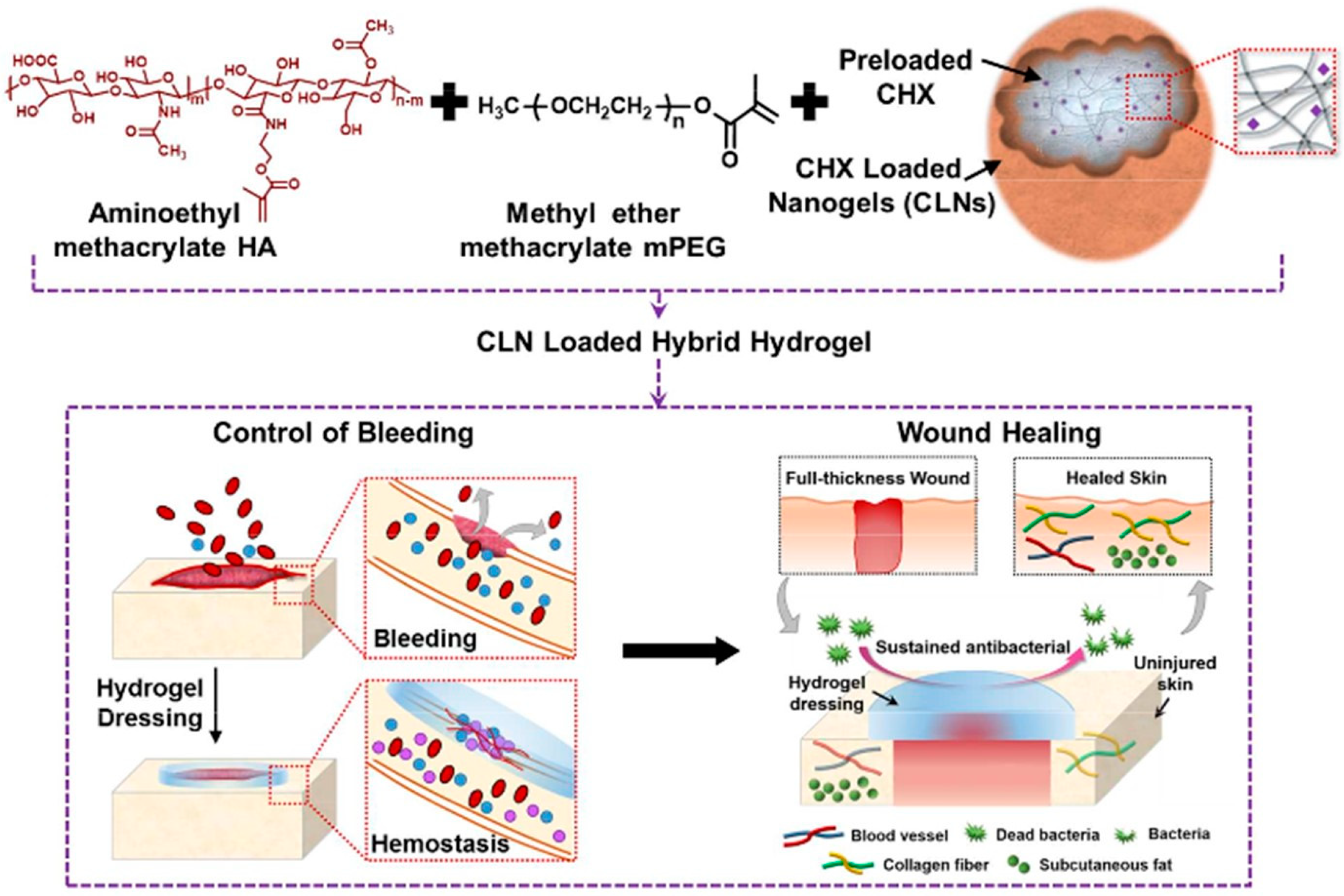 Molecules 25 02649 g010