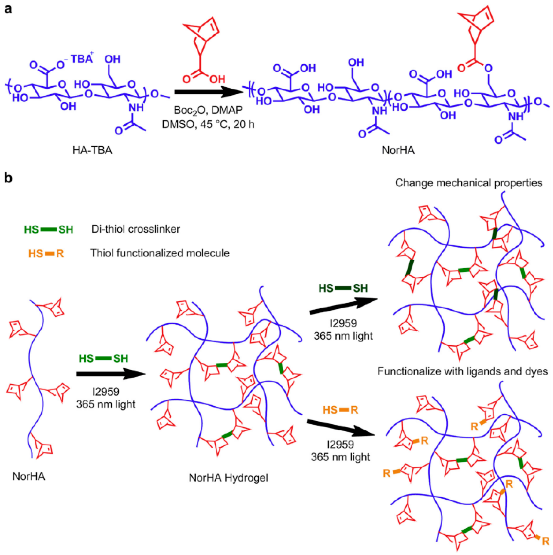 Molecules 25 02649 sch001
