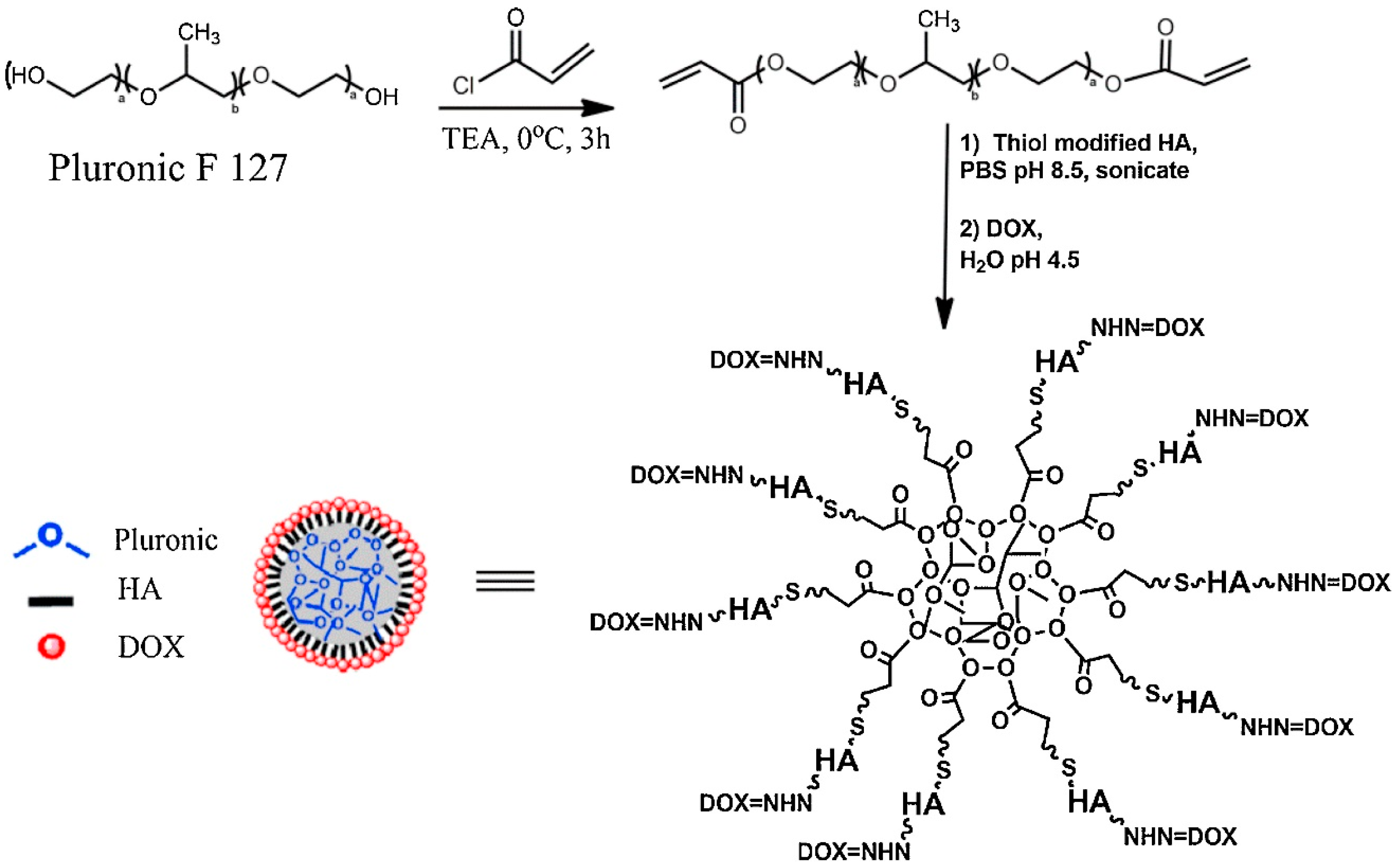 Molecules 25 02649 sch003