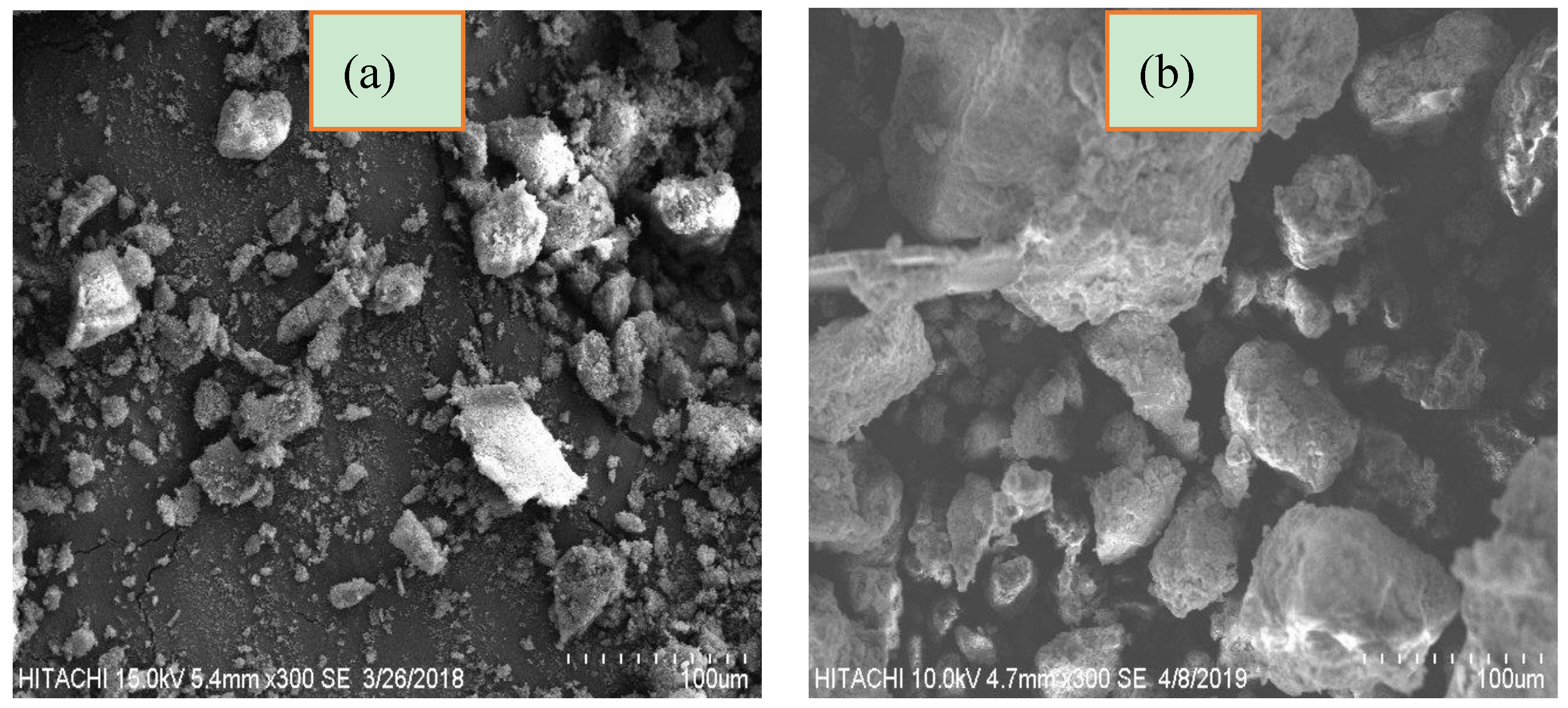 Molecules 25 02650 g005