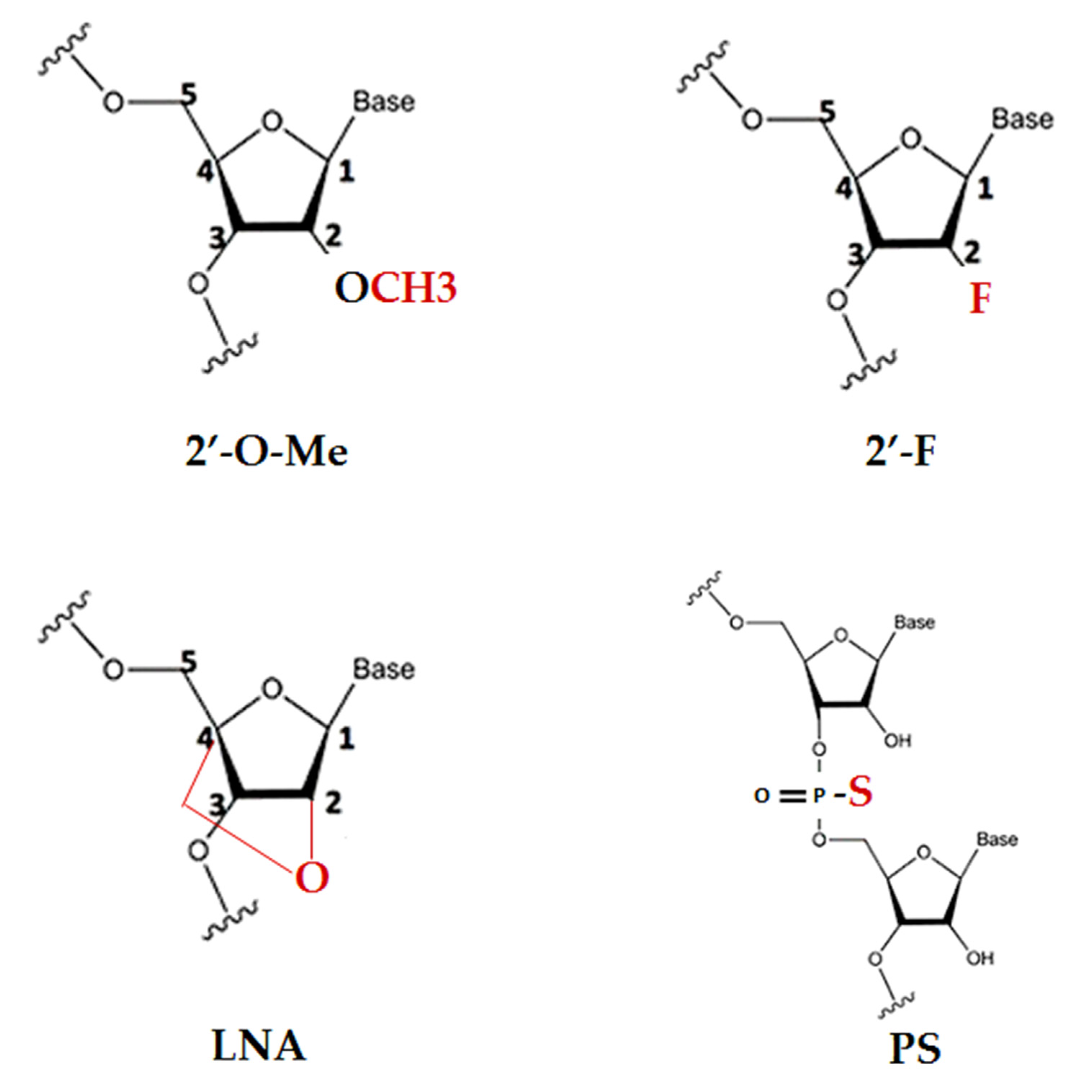 Molecules 25 02653 g002