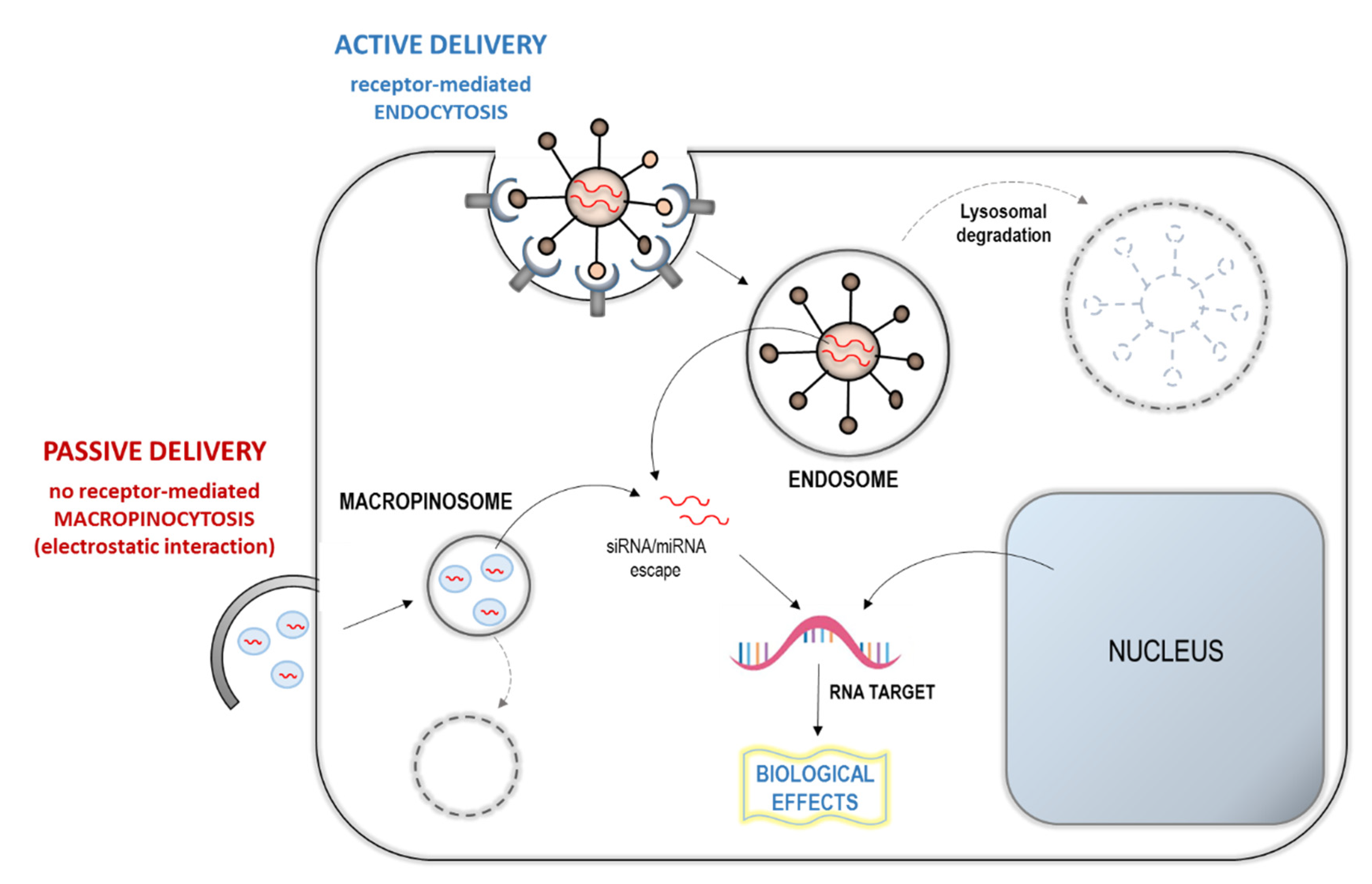 Molecules 25 02653 g003