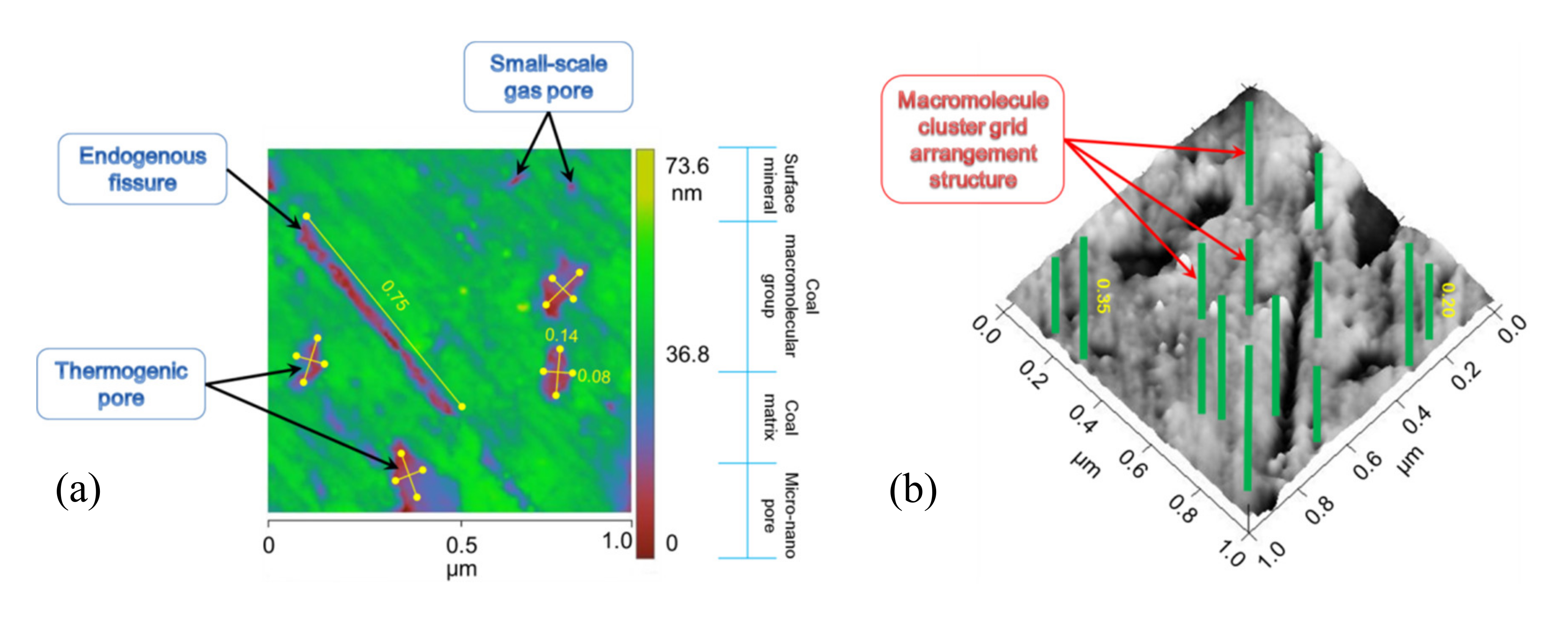 Molecules 25 02661 g003 Molecules 25 02661 g003