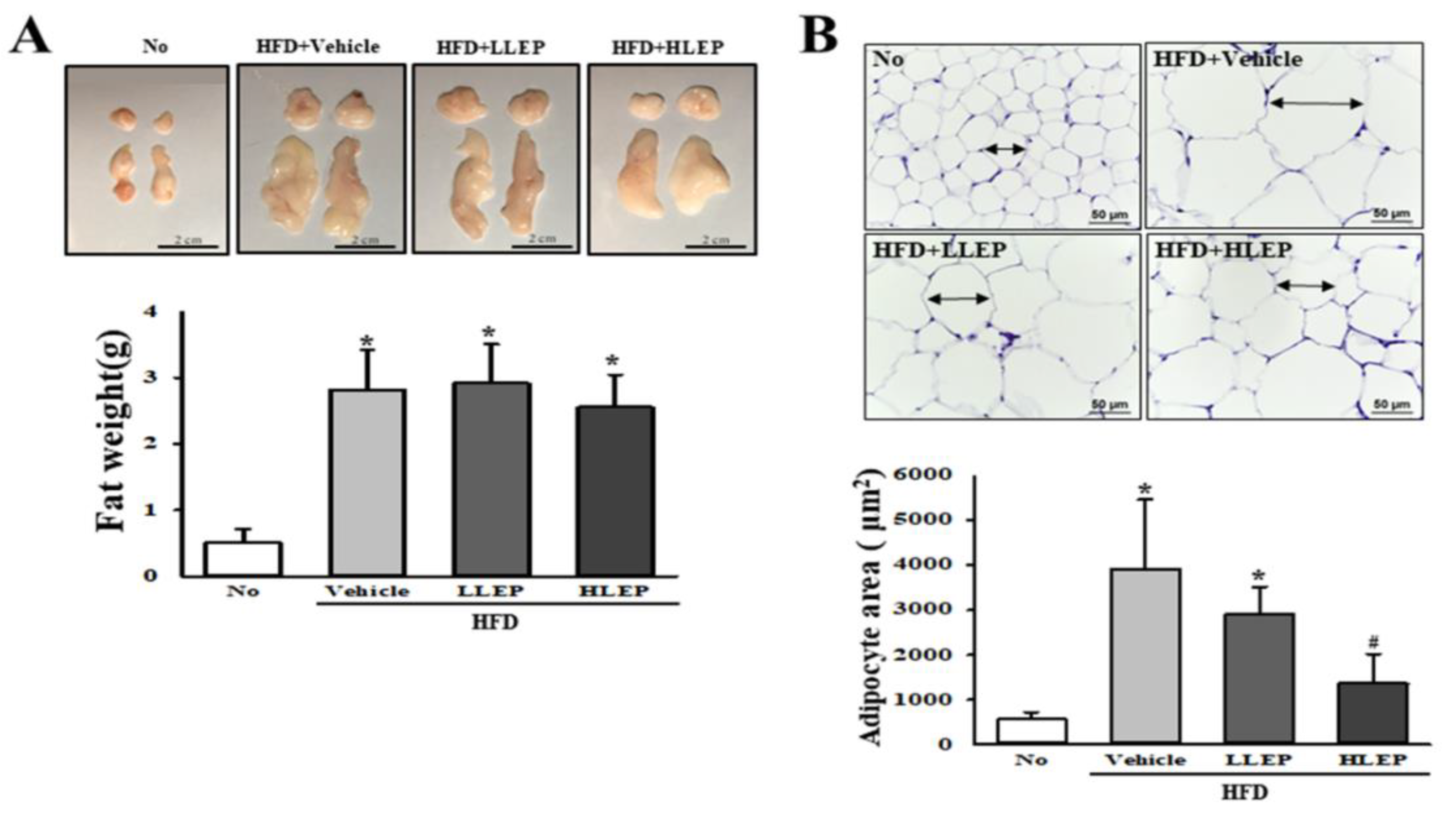 Molecules 25 02662 g002