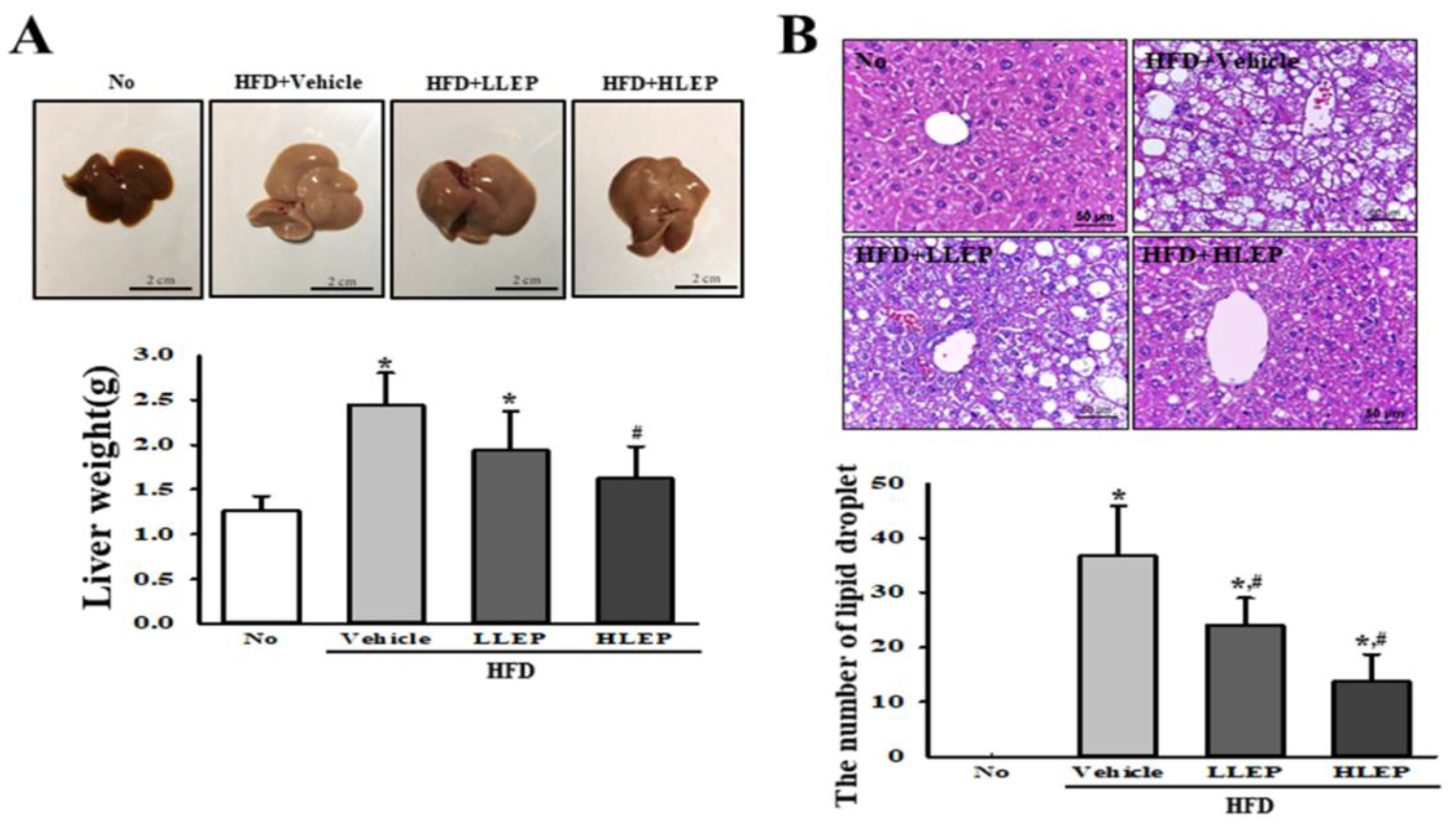 Molecules 25 02662 g003