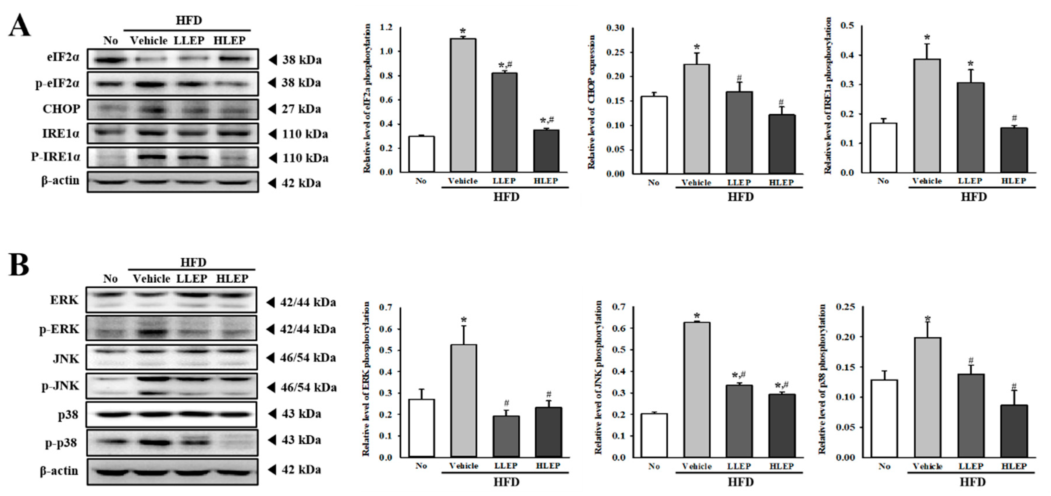 Molecules 25 02662 g005