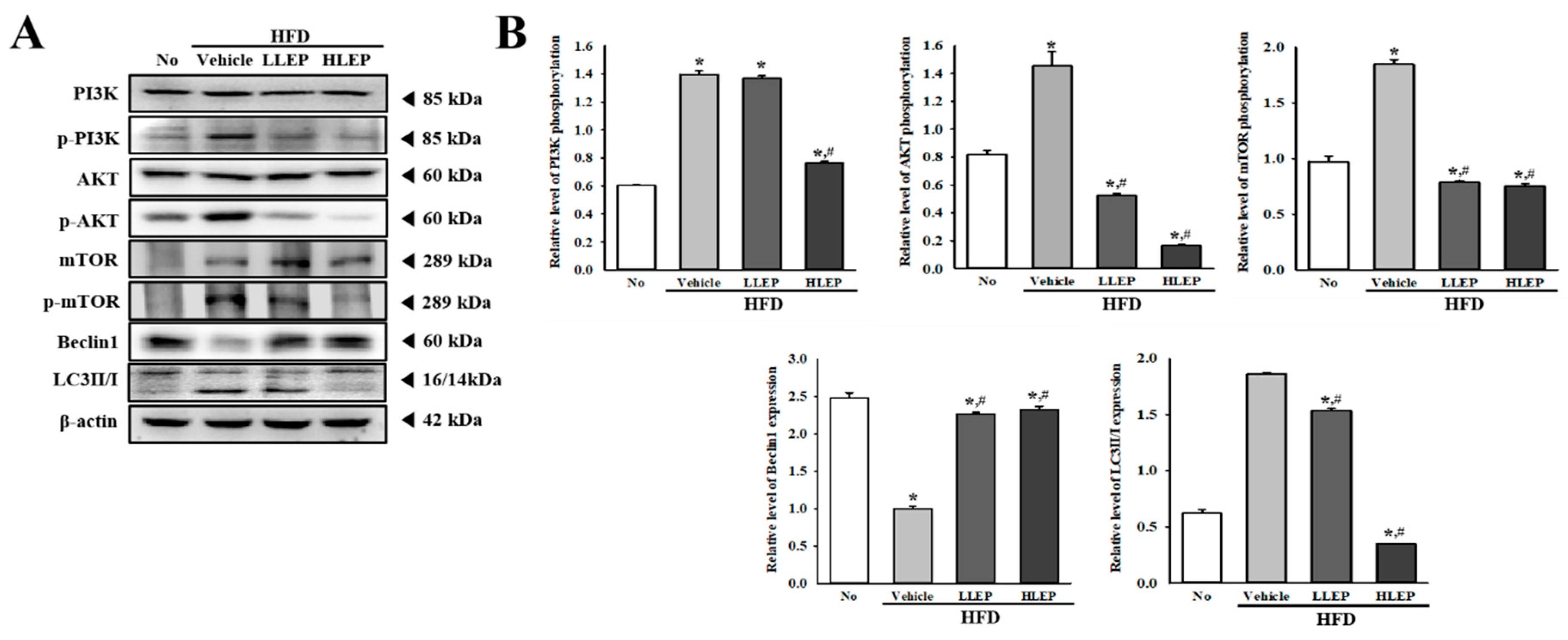 Molecules 25 02662 g006