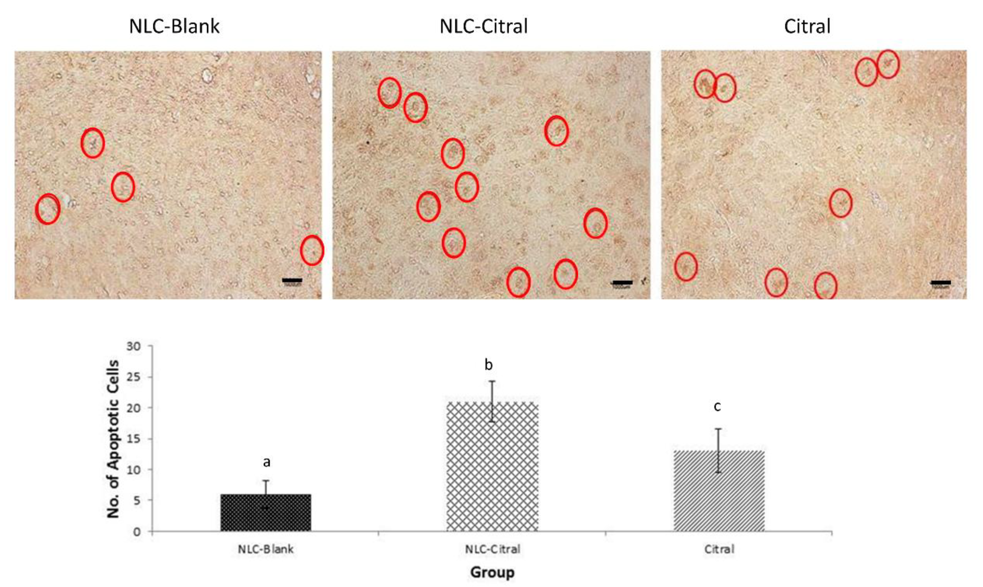 Molecules 25 02670 g005 Molecules 25 02670 g005