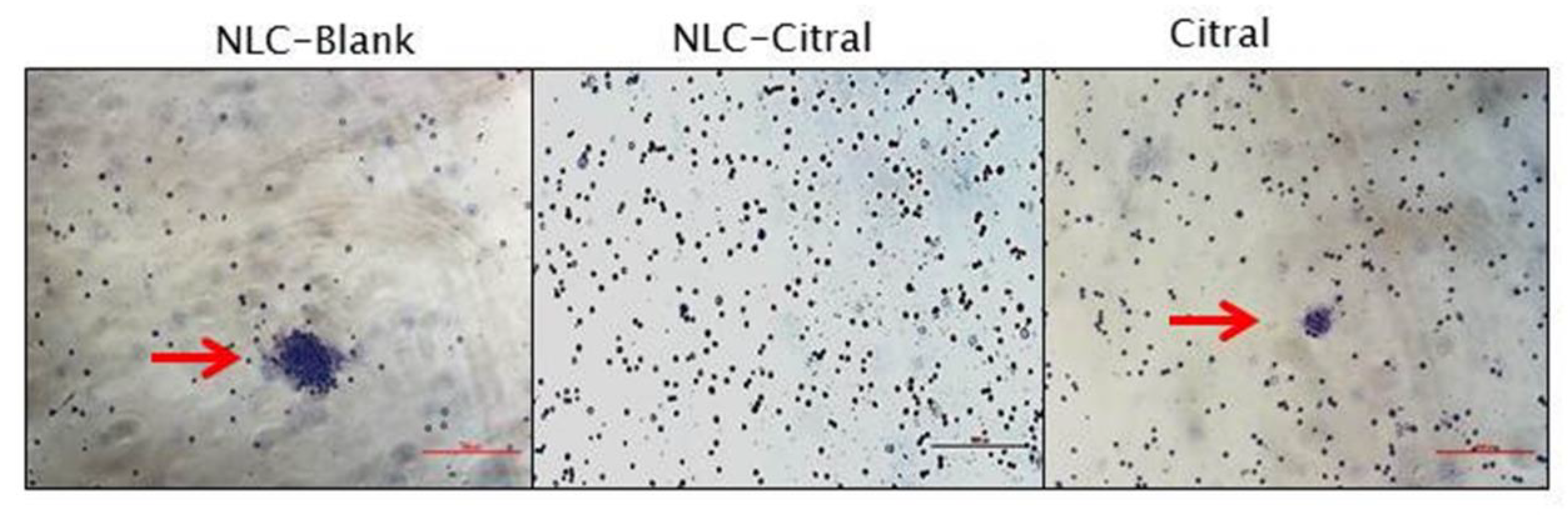 Molecules 25 02670 g008 Molecules 25 02670 g008