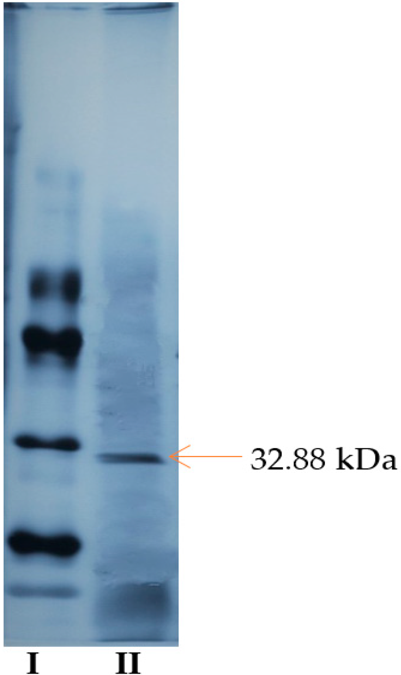 Molecules 25 02671 g004 Molecules 25 02671 g004