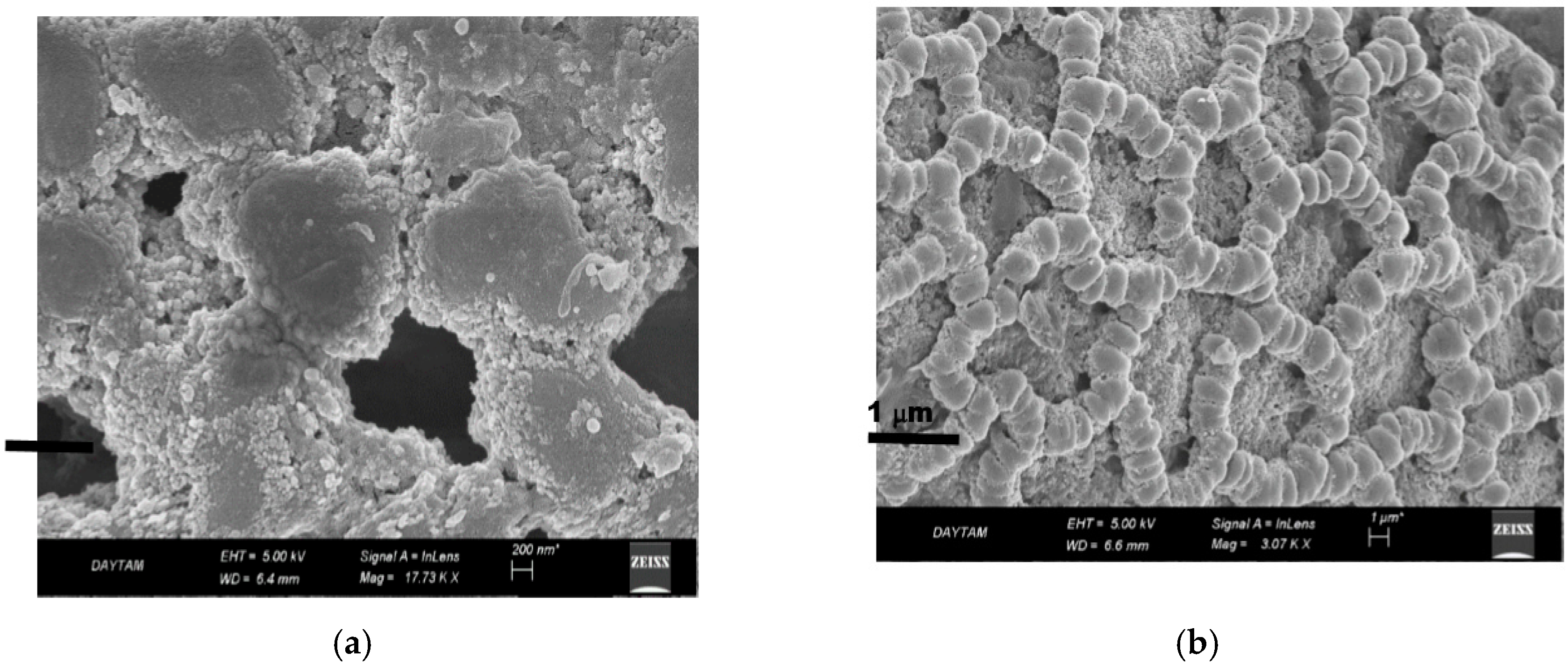 Molecules 25 02671 g005 Molecules 25 02671 g005