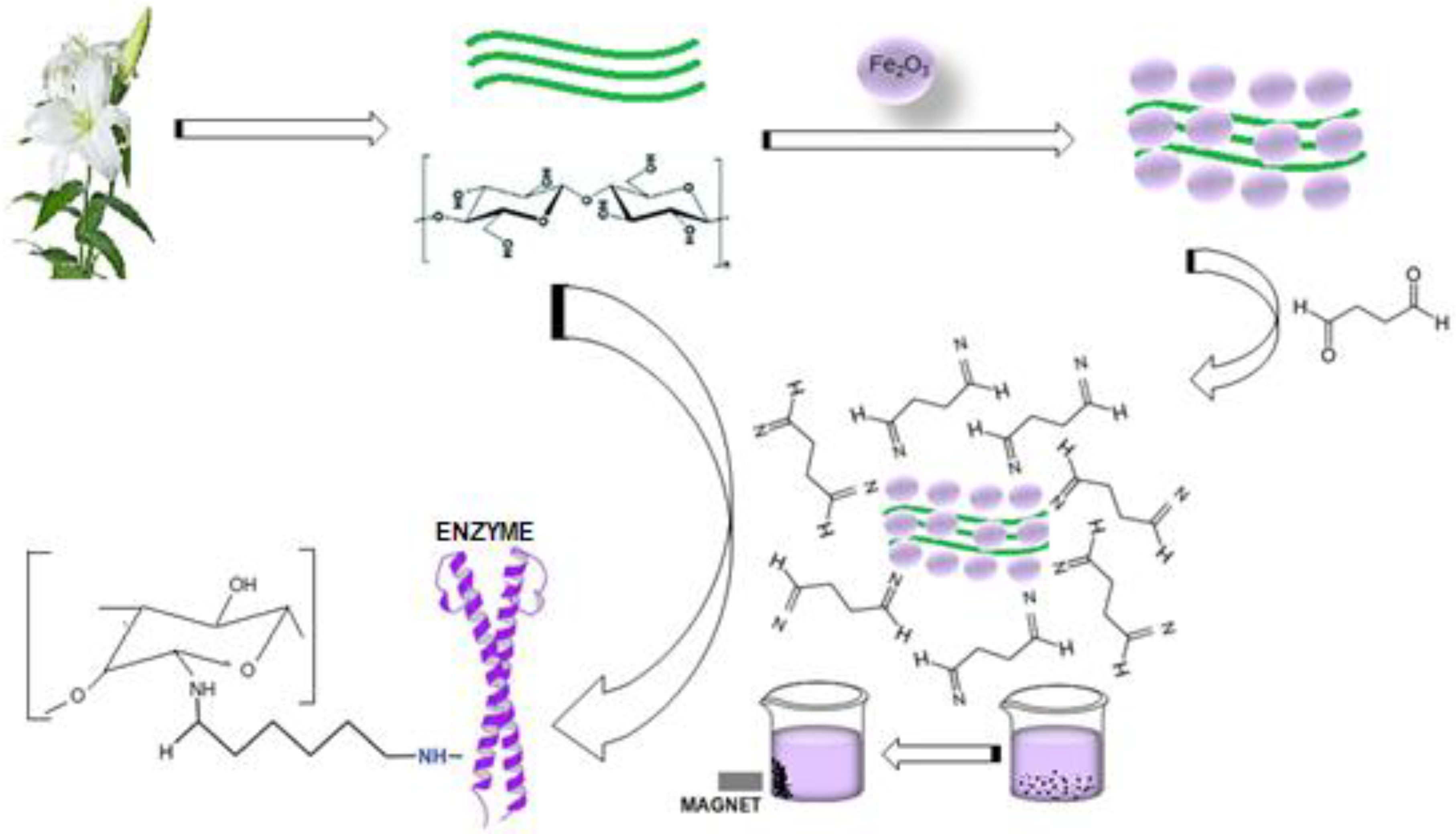 Molecules 25 02671 g009 Molecules 25 02671 g009