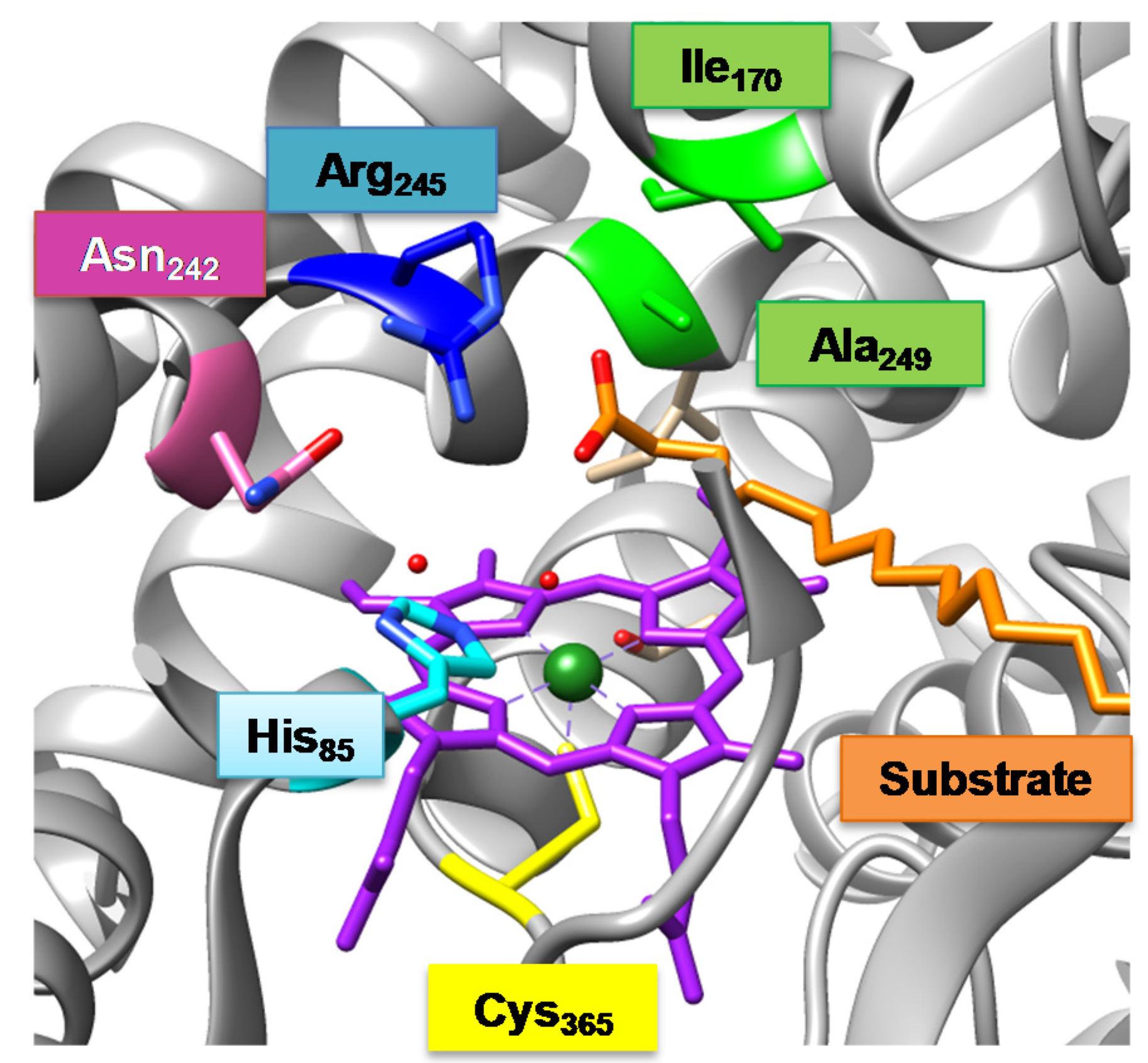 Molecules 25 02675 g001