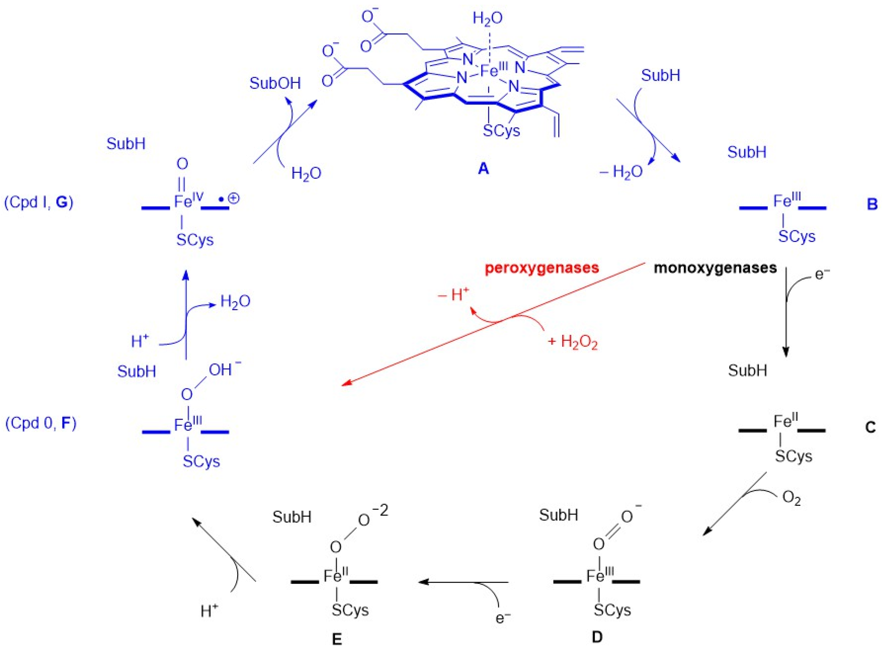 Molecules 25 02675 sch002