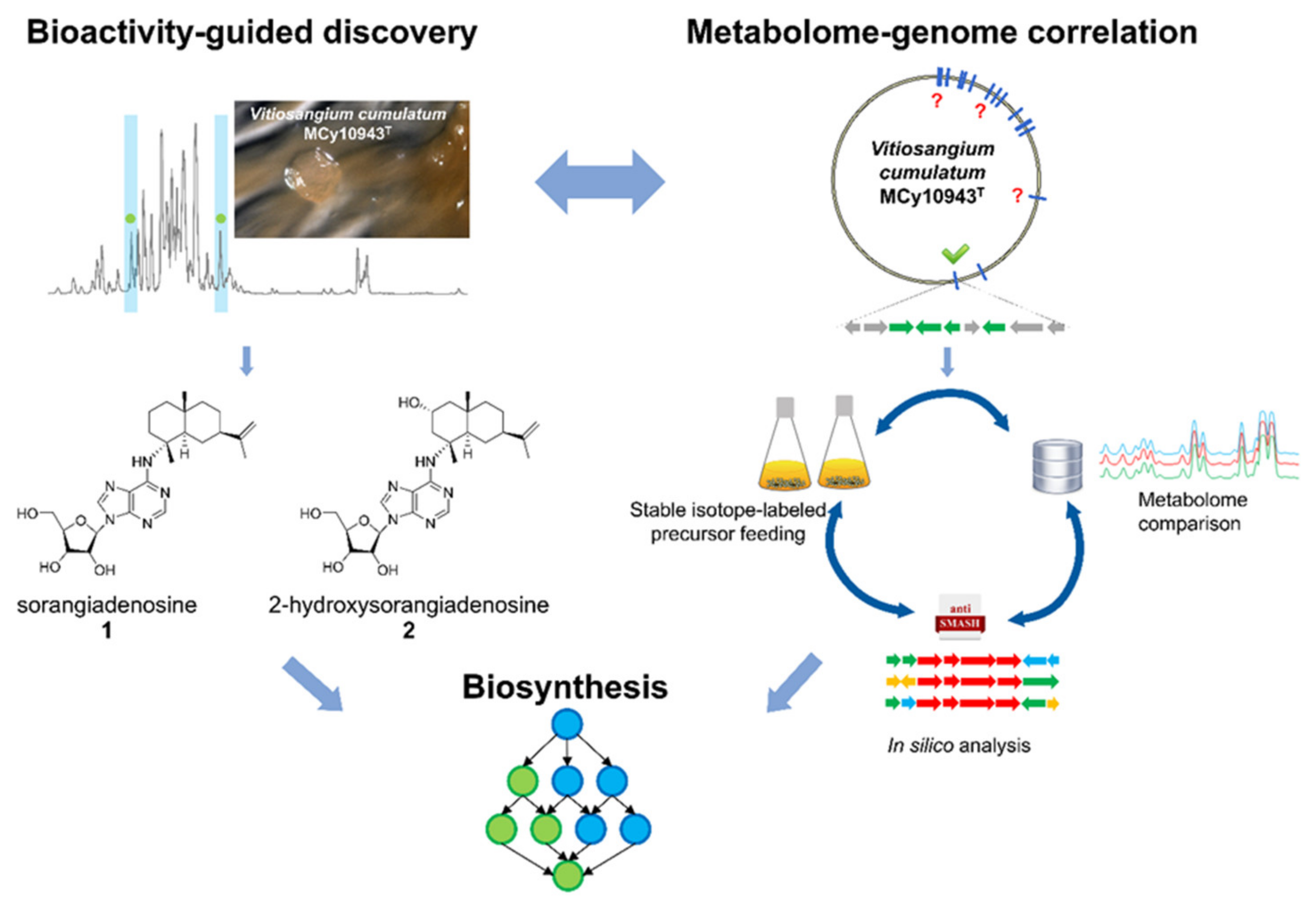 Molecules 25 02676 g001 Molecules 25 02676 g001