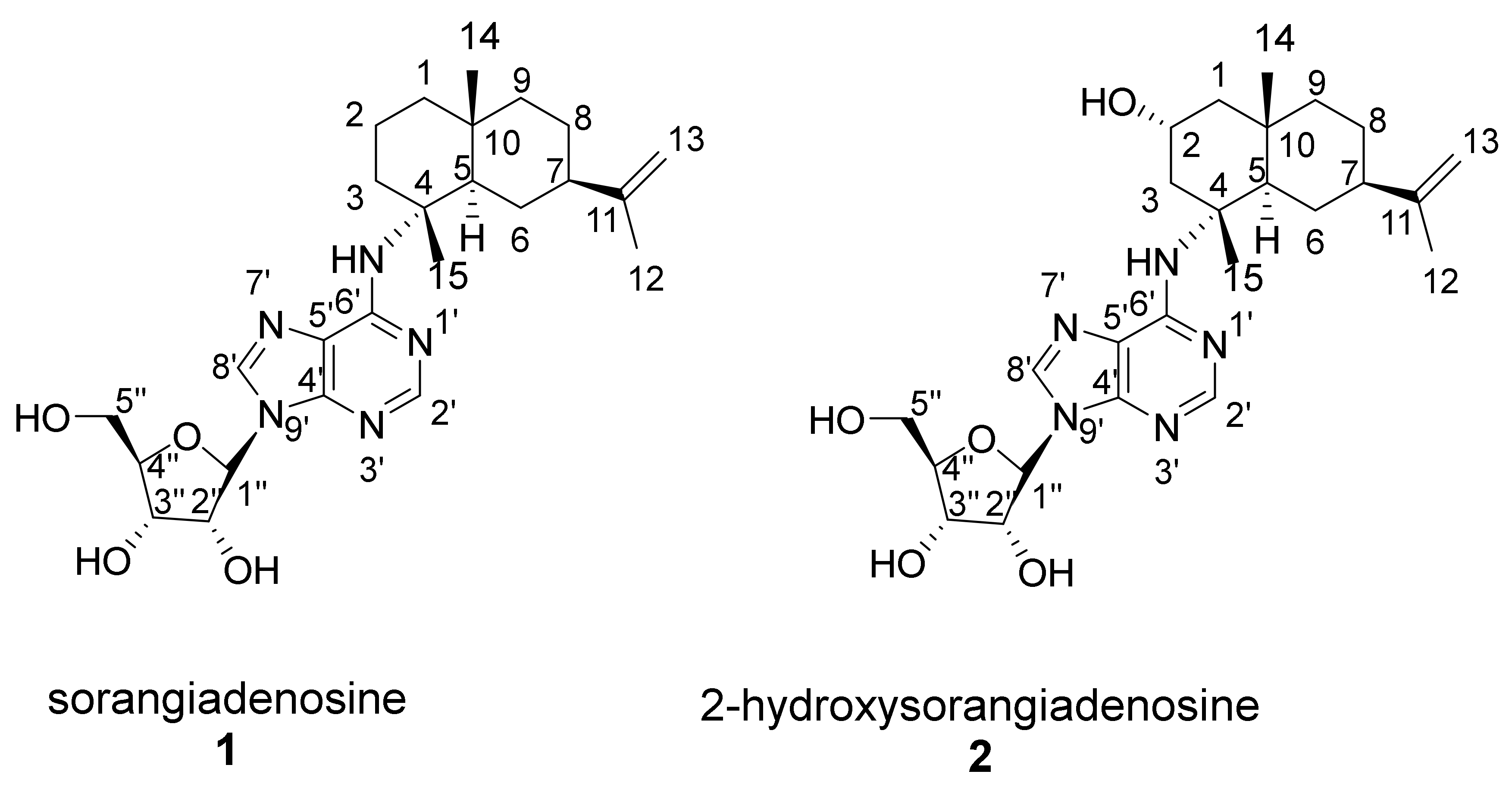 Molecules 25 02676 g003 Molecules 25 02676 g003