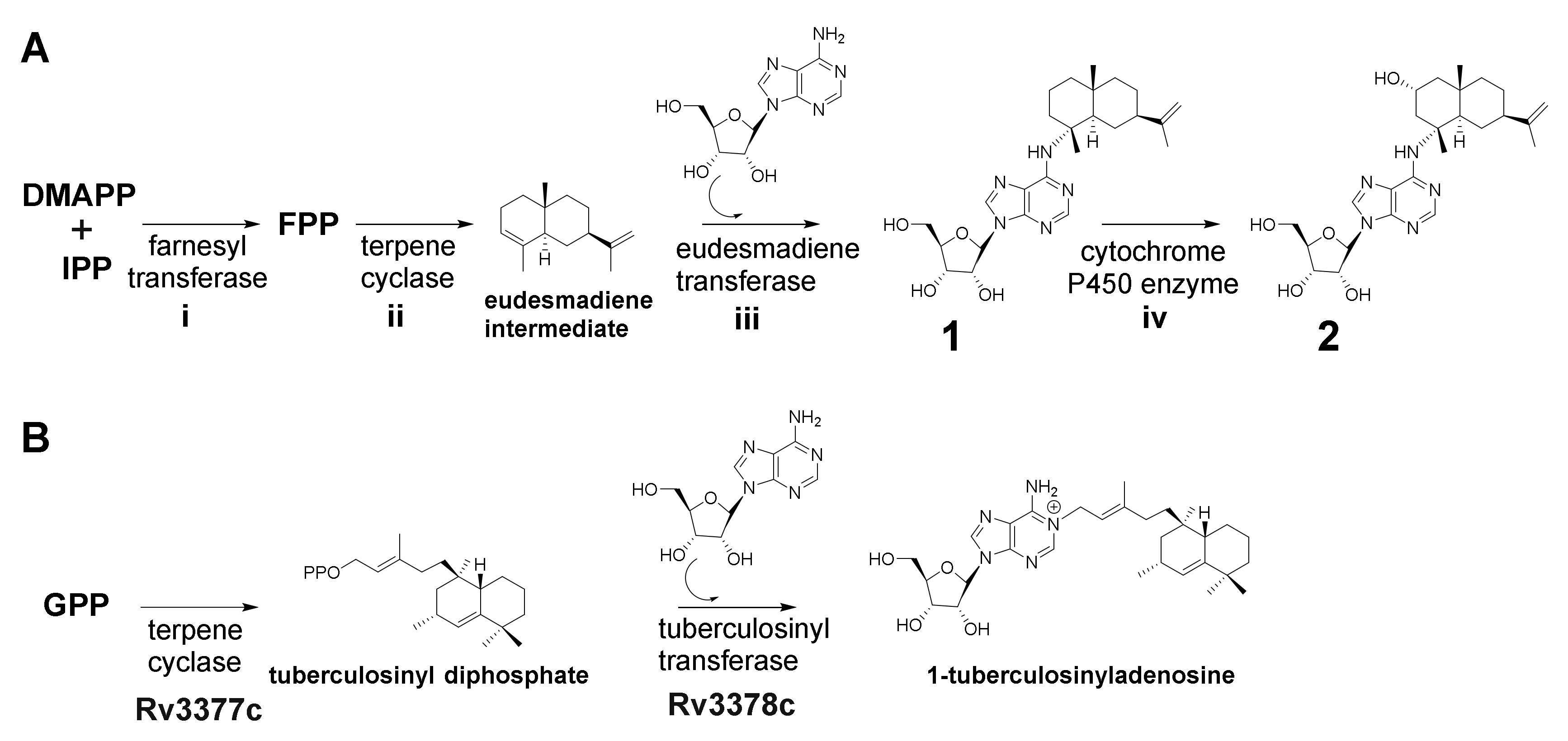 Molecules 25 02676 g004 Molecules 25 02676 g004