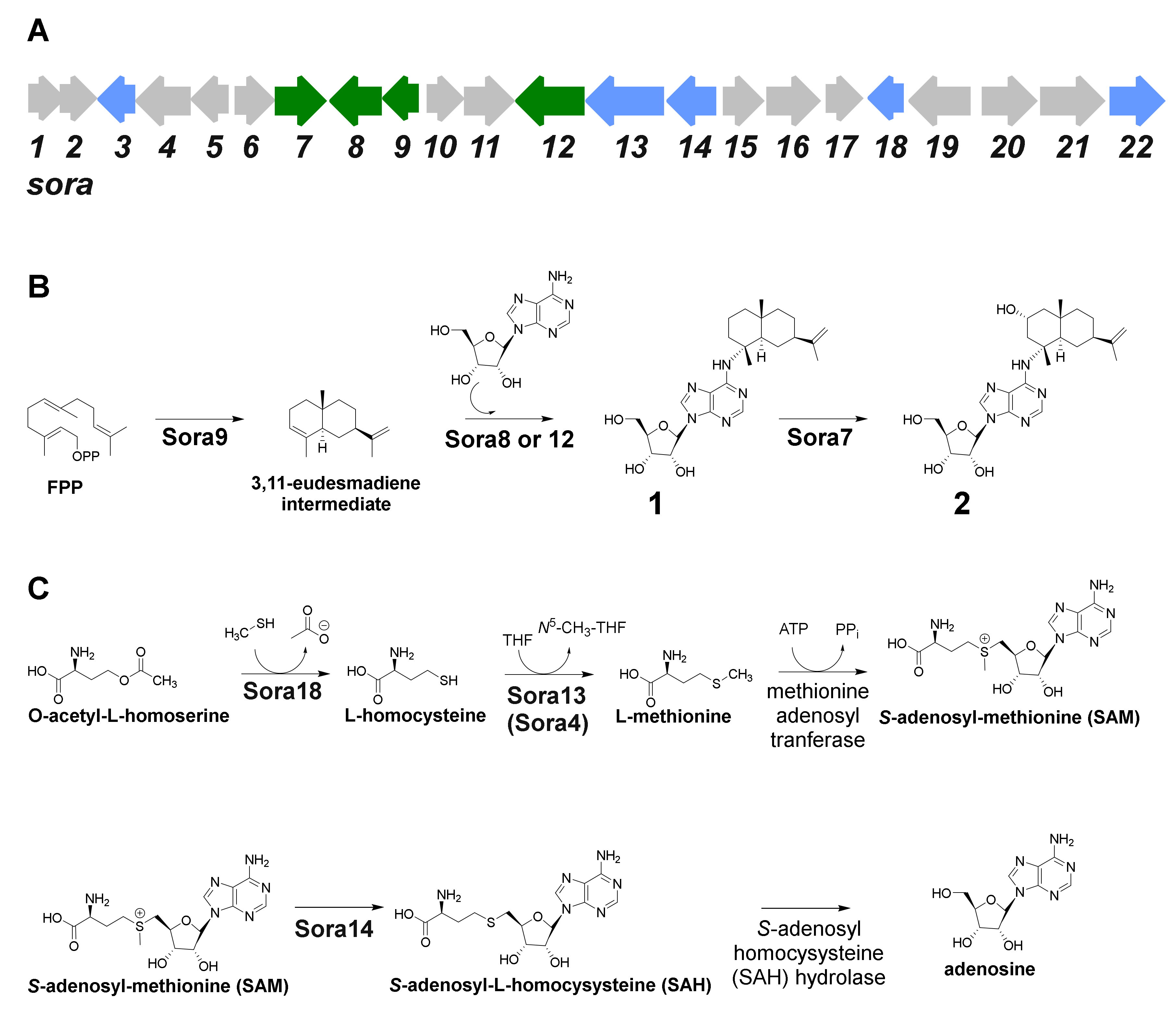 Molecules 25 02676 g005 Molecules 25 02676 g005