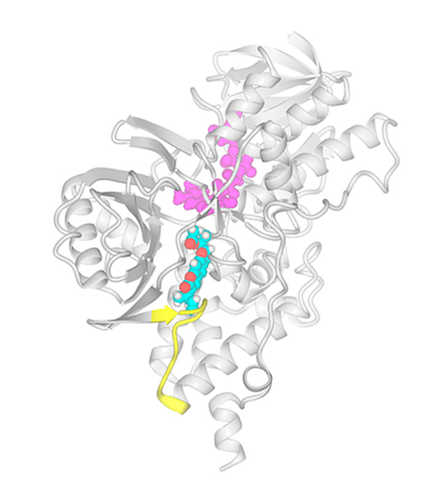 Molecules 25 02678 g002 Molecules 25 02678 g002