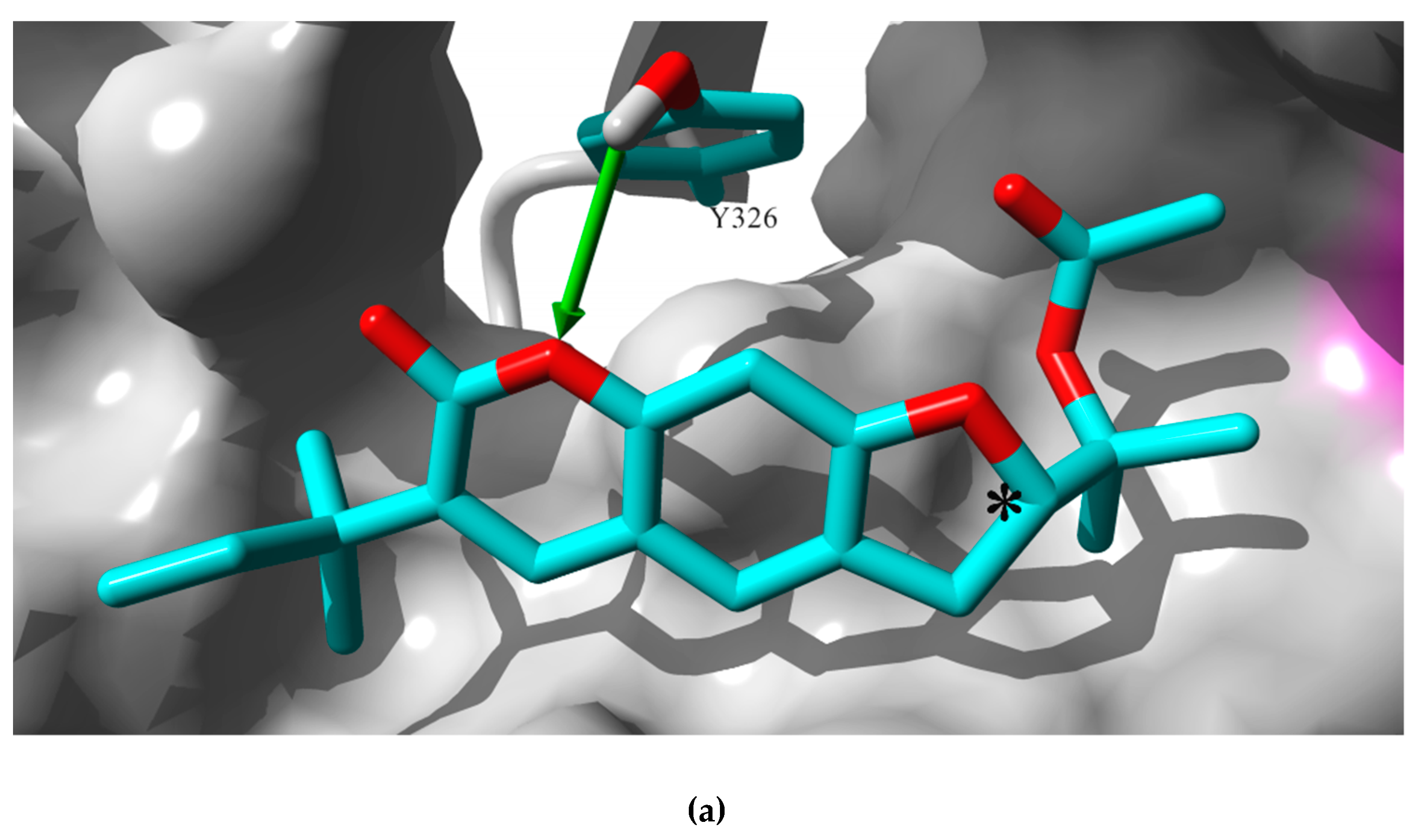 Molecules 25 02678 g003a Molecules 25 02678 g003a